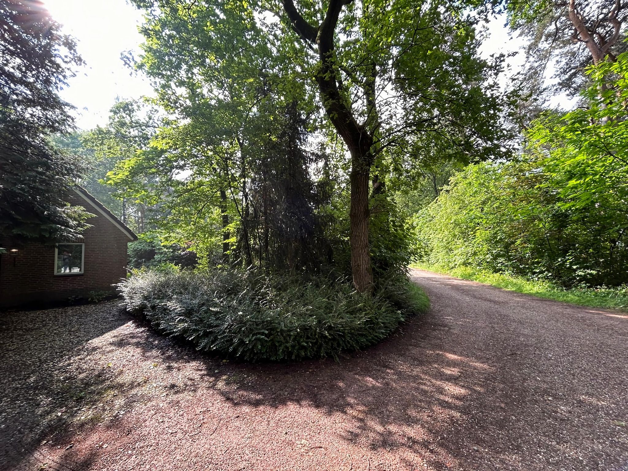 Bos suite in Zelhem - Foto 31 van 38