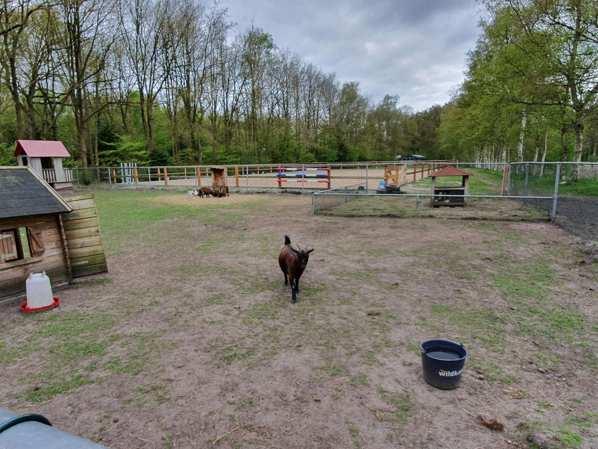 Parkfaciliteiten bij Elperhof Leberenlodge in Schoonloo