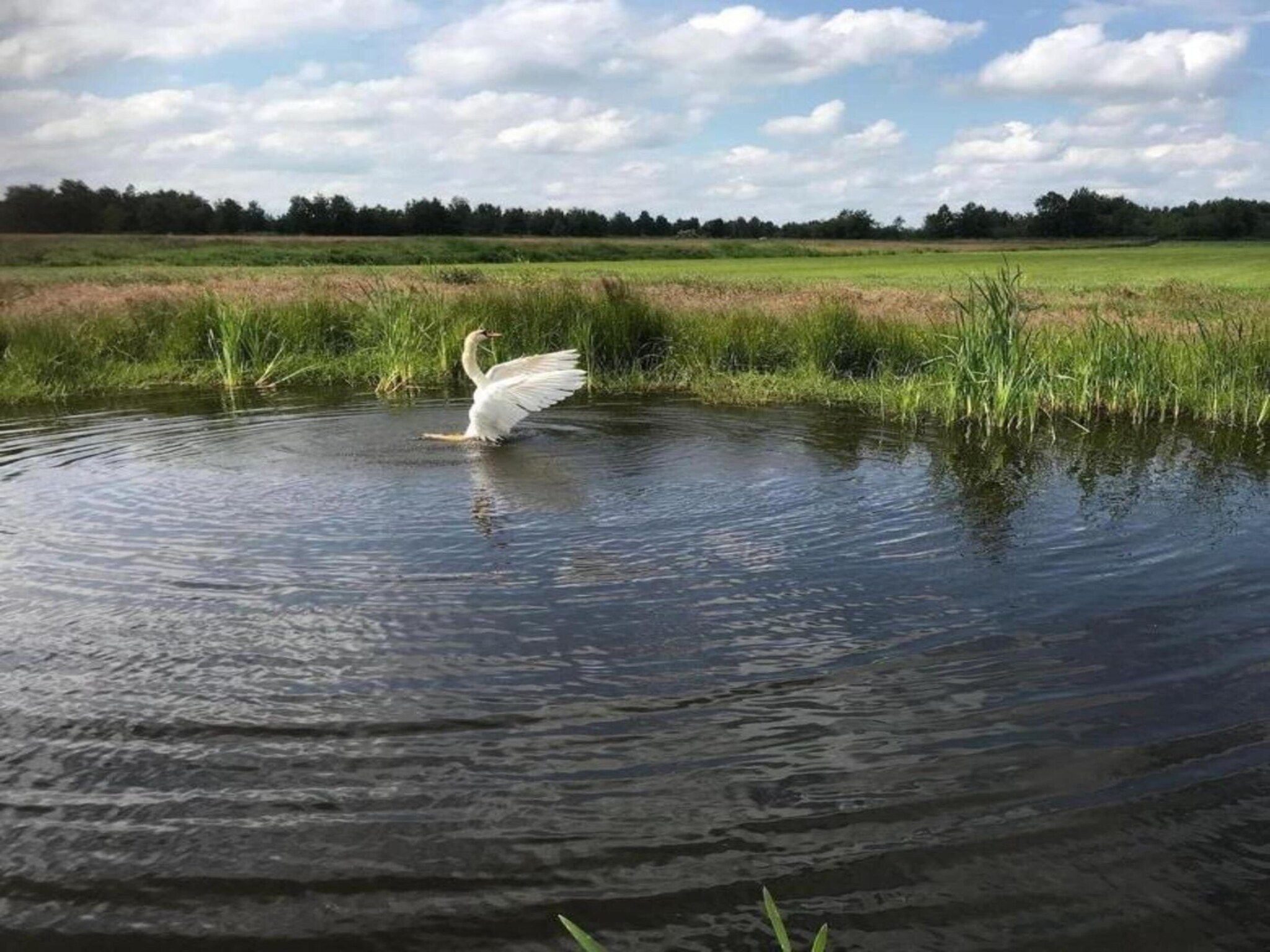 Luxe glamping met badkamer 2 in De Veenhoop - Foto 34 van 40