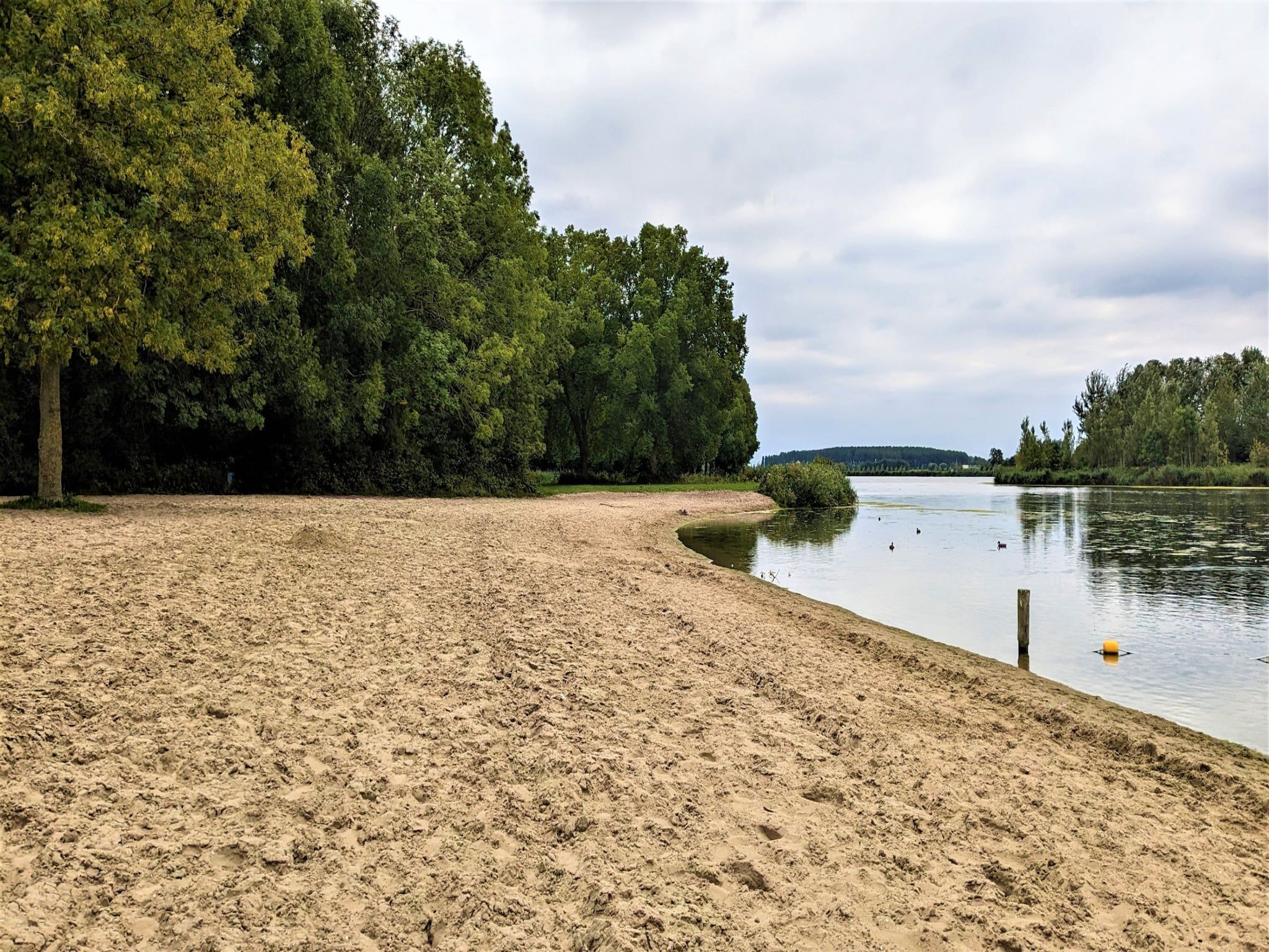 De omgeving van Rietzanger nr 134 in Zuid-Holland