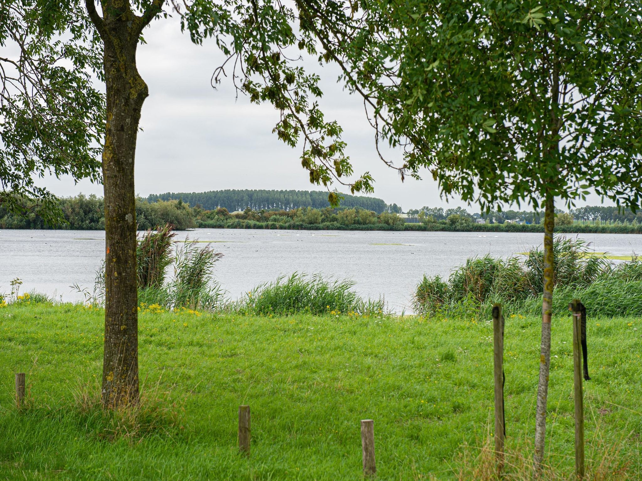 De tuin van Rietzanger nr 134 in Zuid-Holland