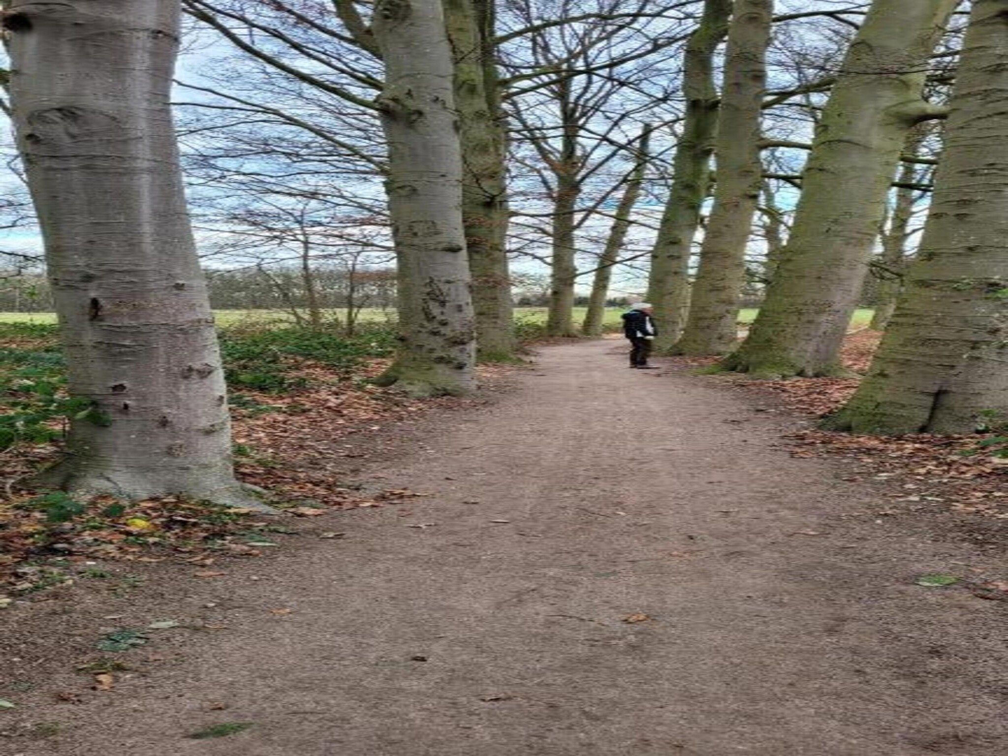 Vakantiepark 't Broeckhuys 6 in Ewijk - Foto 23 van 40