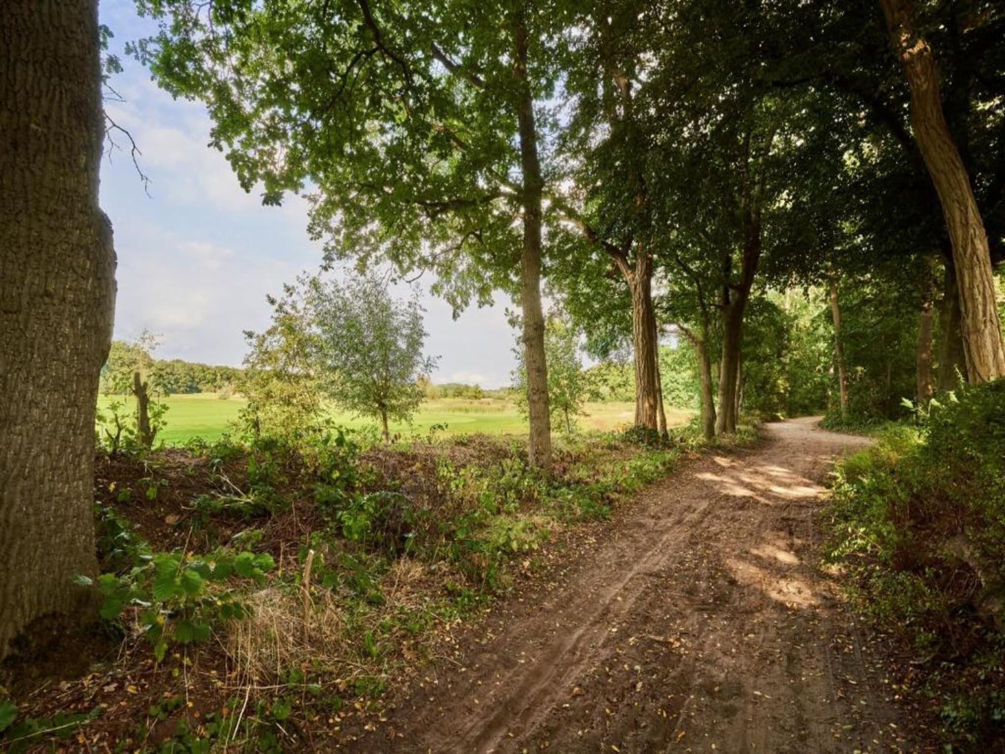 De omgeving van Vakantiepark de Katjeskelder 24 in Oosterhout