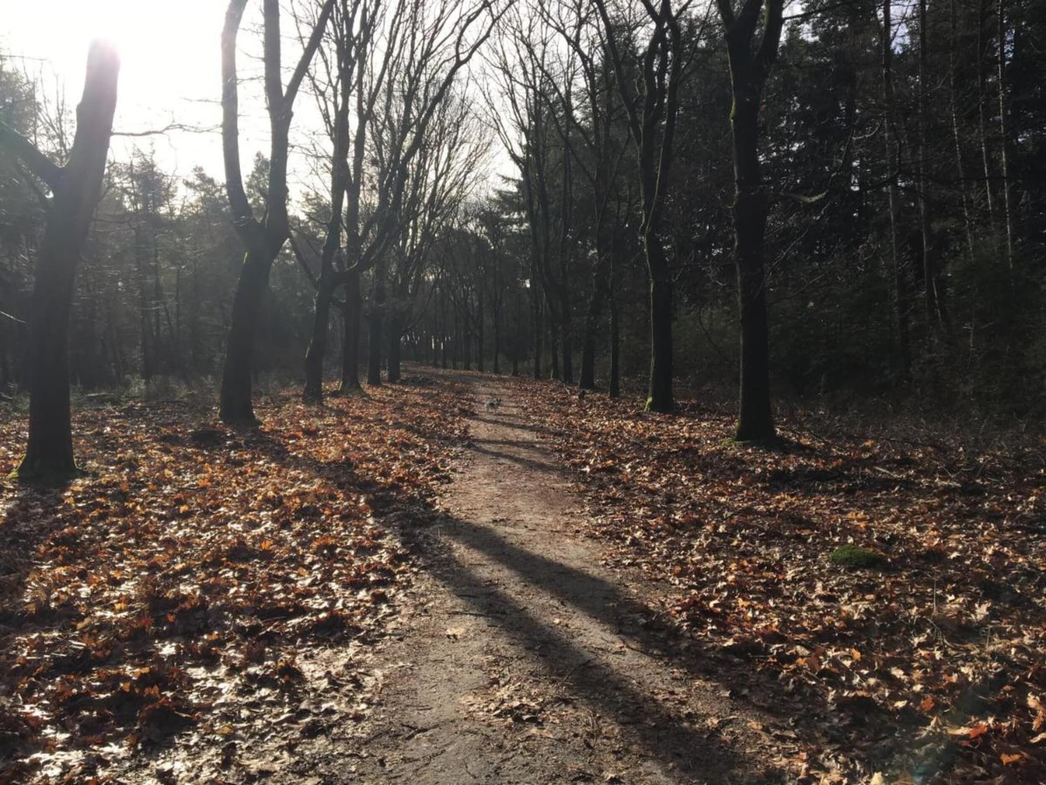 Dorpswoning Het Tolhuis in Leende - Foto 40 van 40
