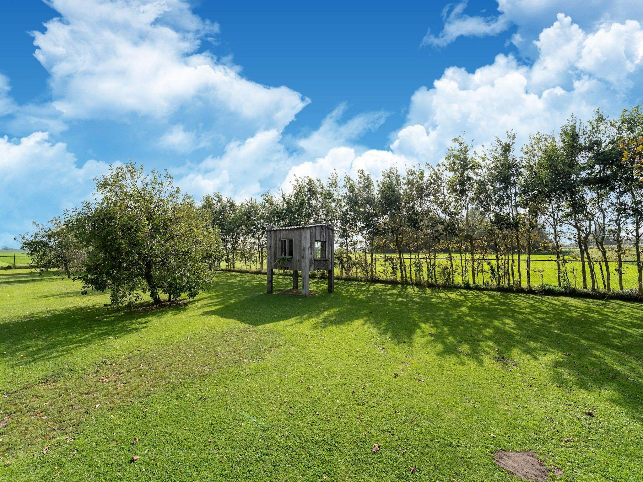 De tuin van Tiny House in Burgerbrug