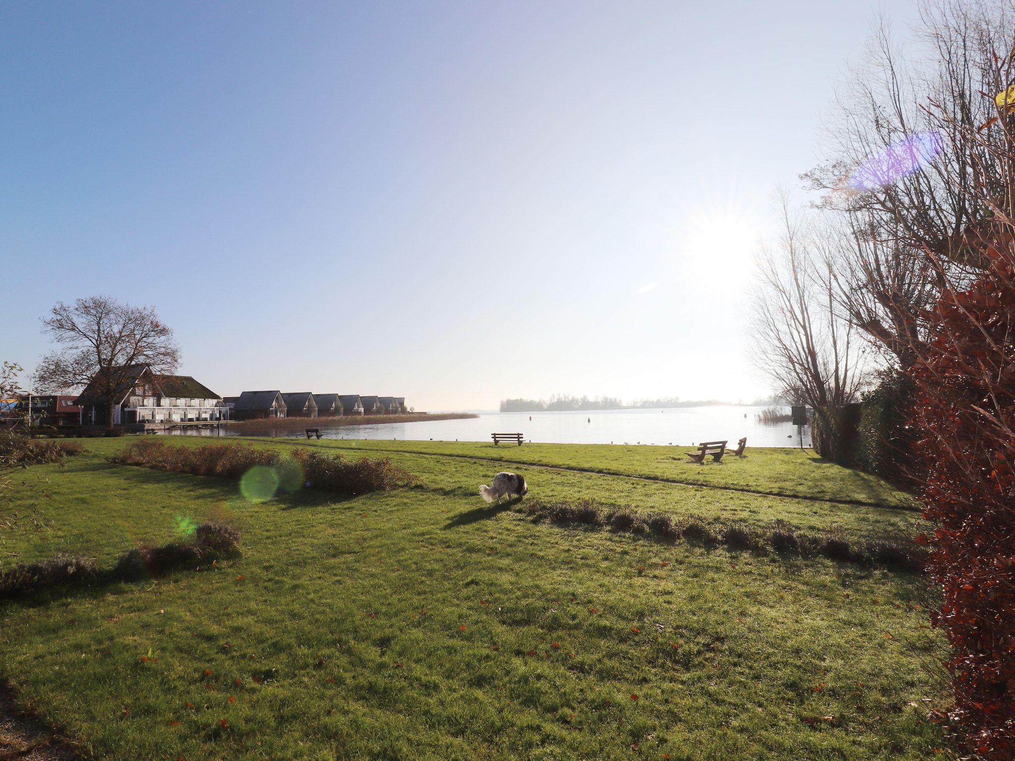 De tuin van Appartement aan het meer in Heeg in Heeg