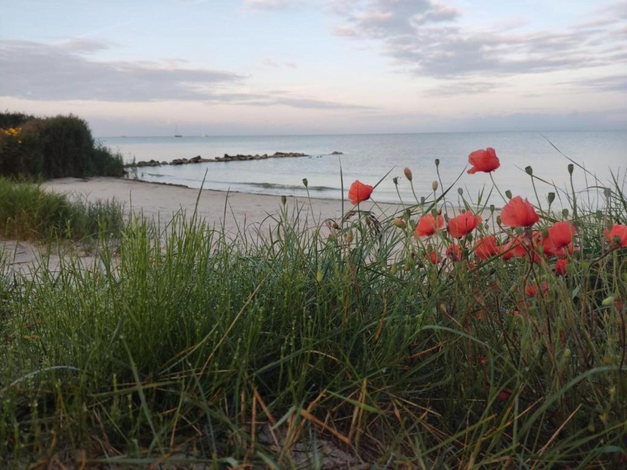 De omgeving van Appartement aan het meer in Heeg in Heeg
