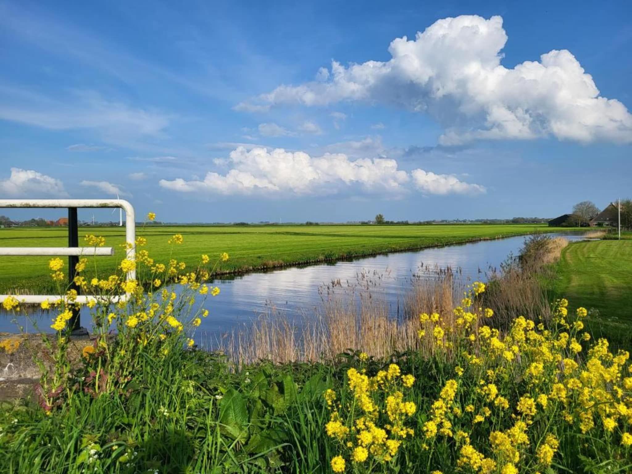 De omgeving van Appartement aan het meer in Heeg in Heeg