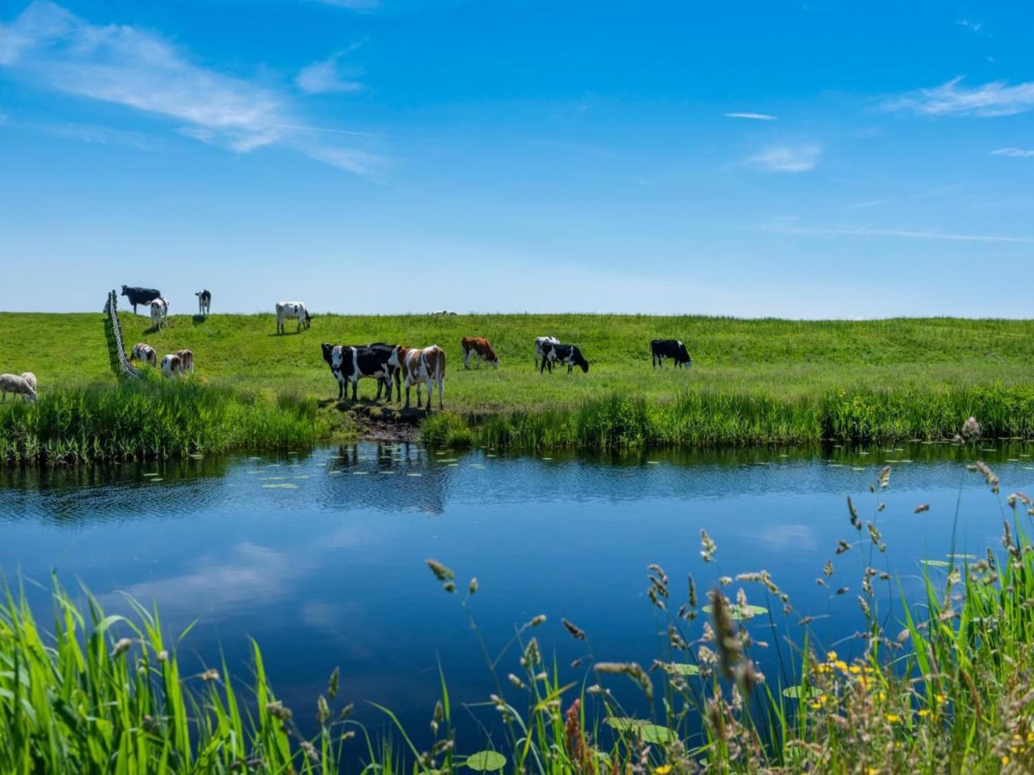 De omgeving van Appartement aan het meer in Heeg in Heeg