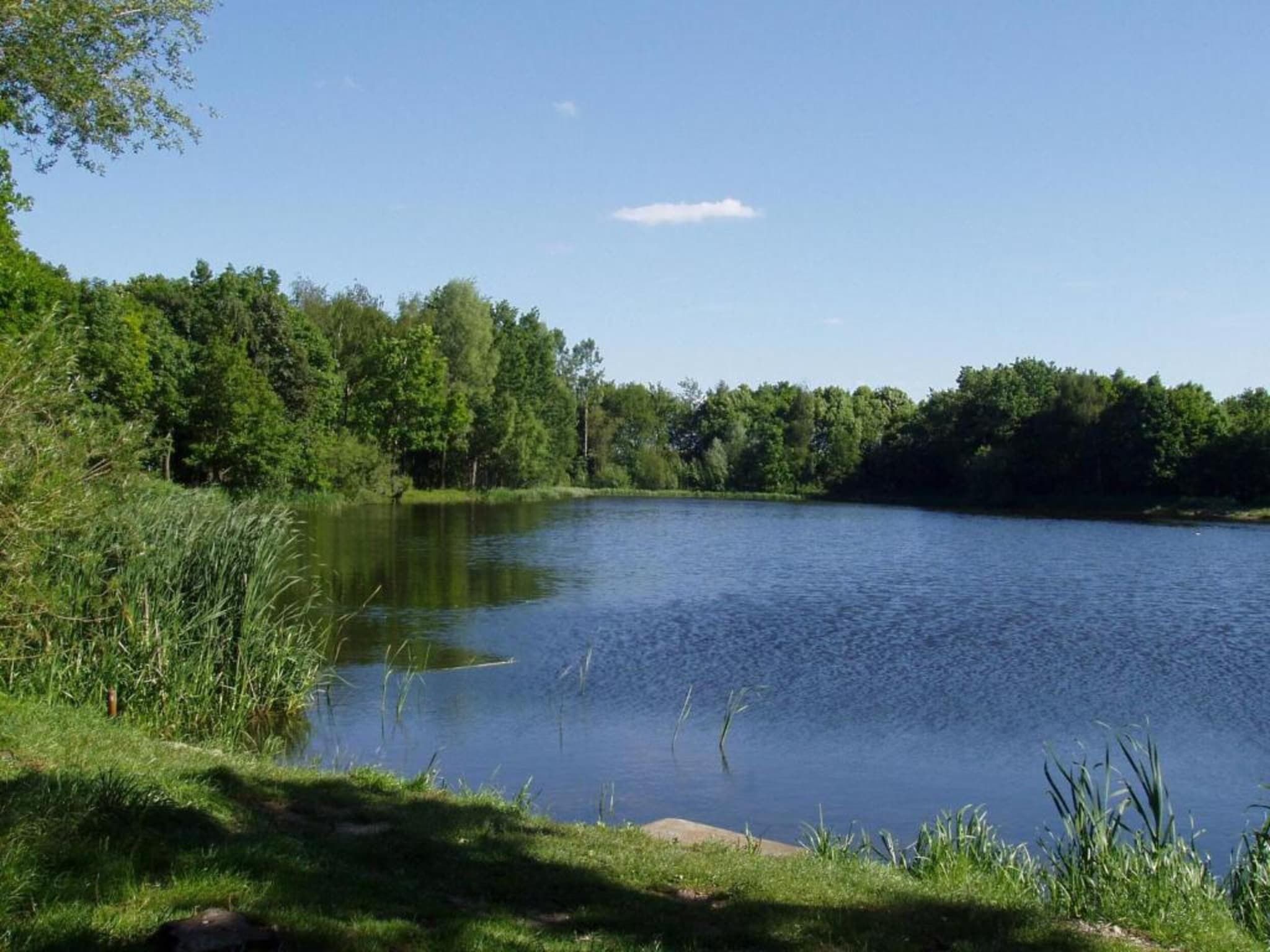 De omgeving van Vakantiepark Schaijk 13 in Schaijk