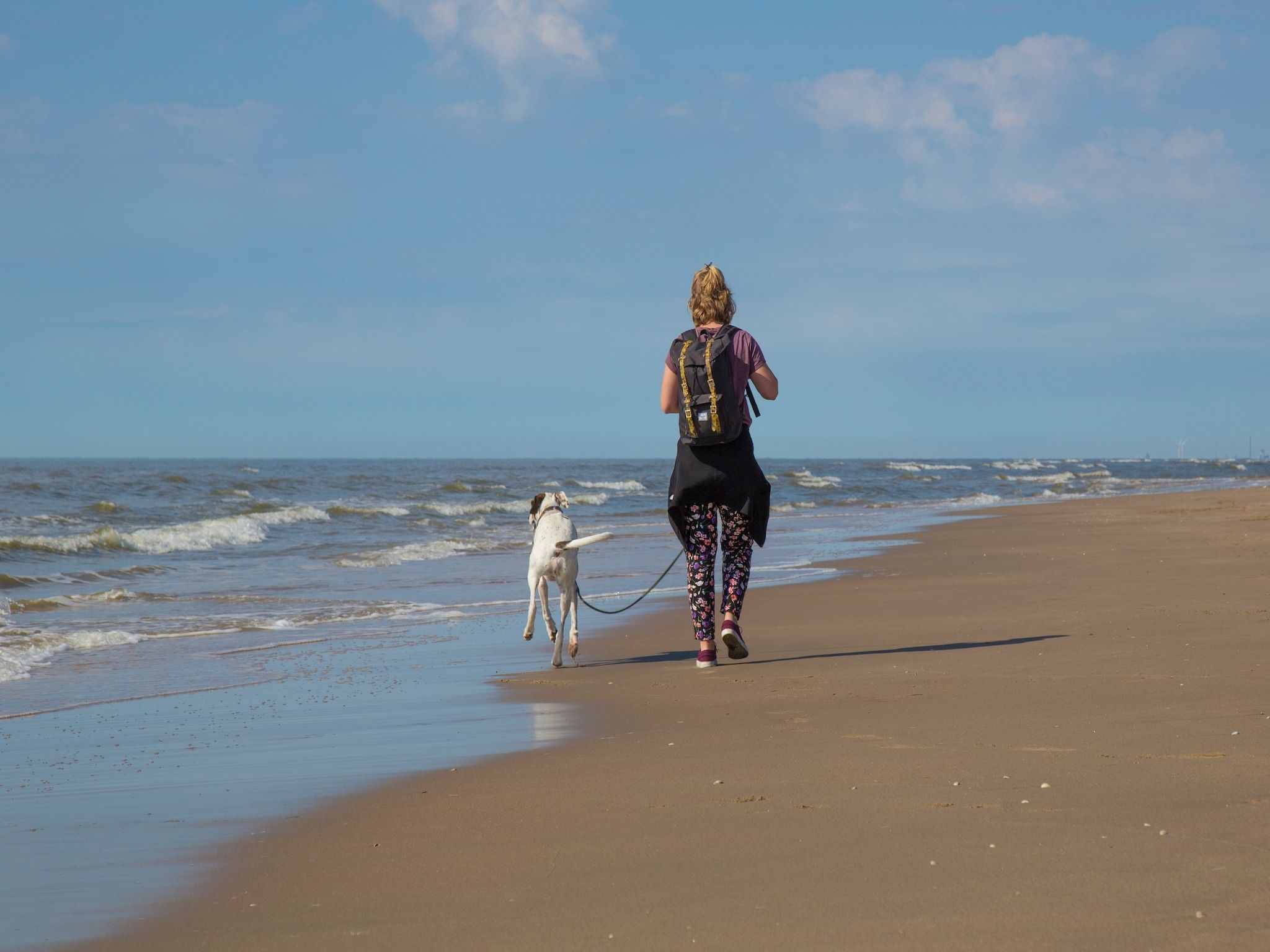 De omgeving van Vakantiepark Duinrust 3 in Noordwijk aan zee