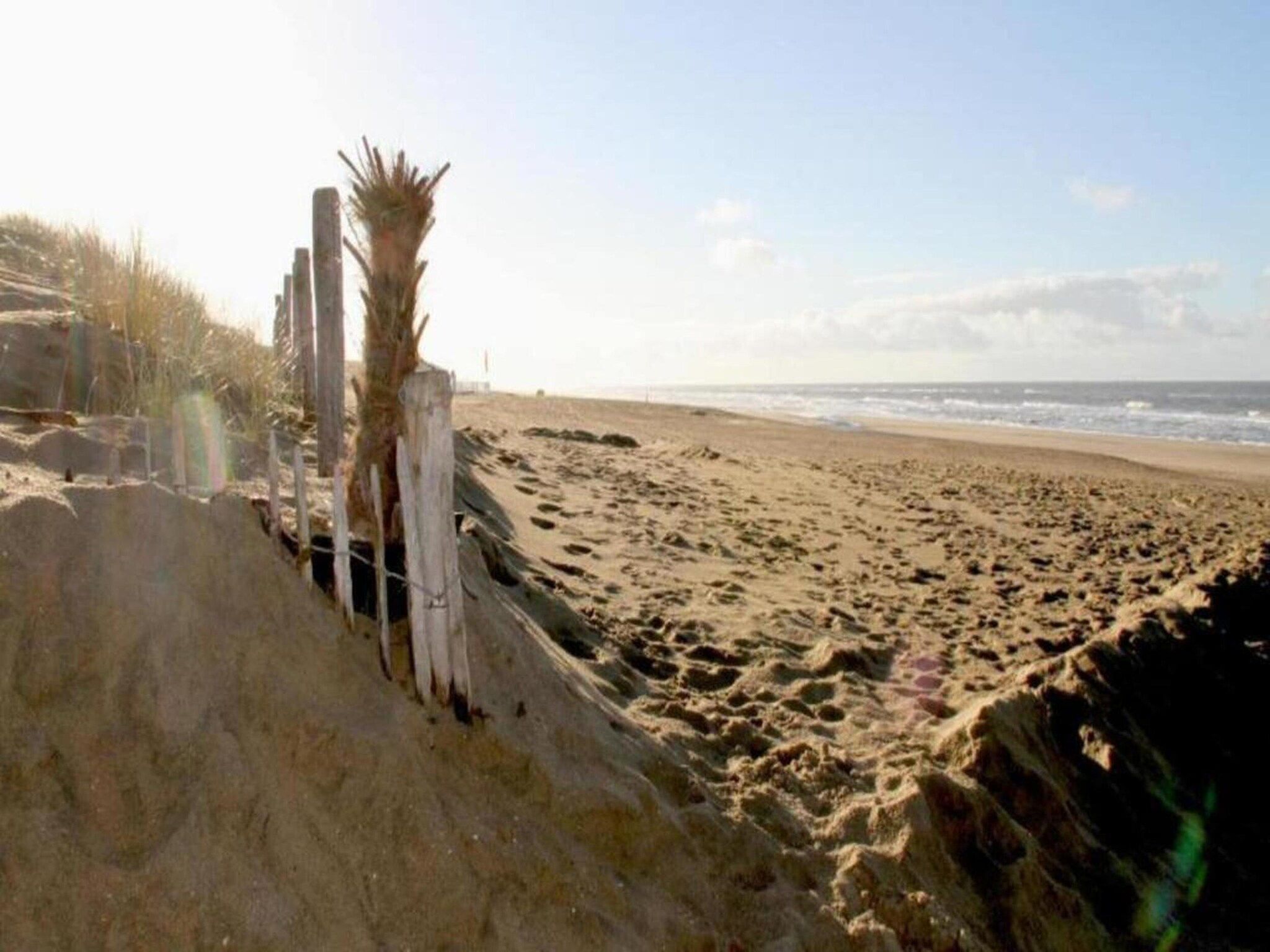 Vakantiepark Duinrust 3 in Noordwijk aan zee - Foto 37 van 40