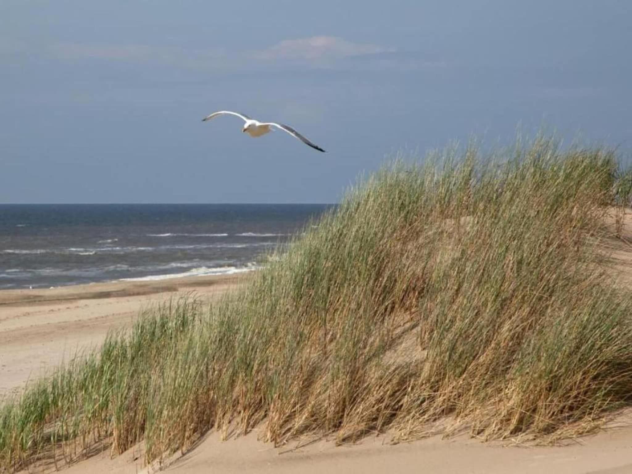 Vakantiepark Duinrust 3 in Noordwijk aan zee - Foto 30 van 40