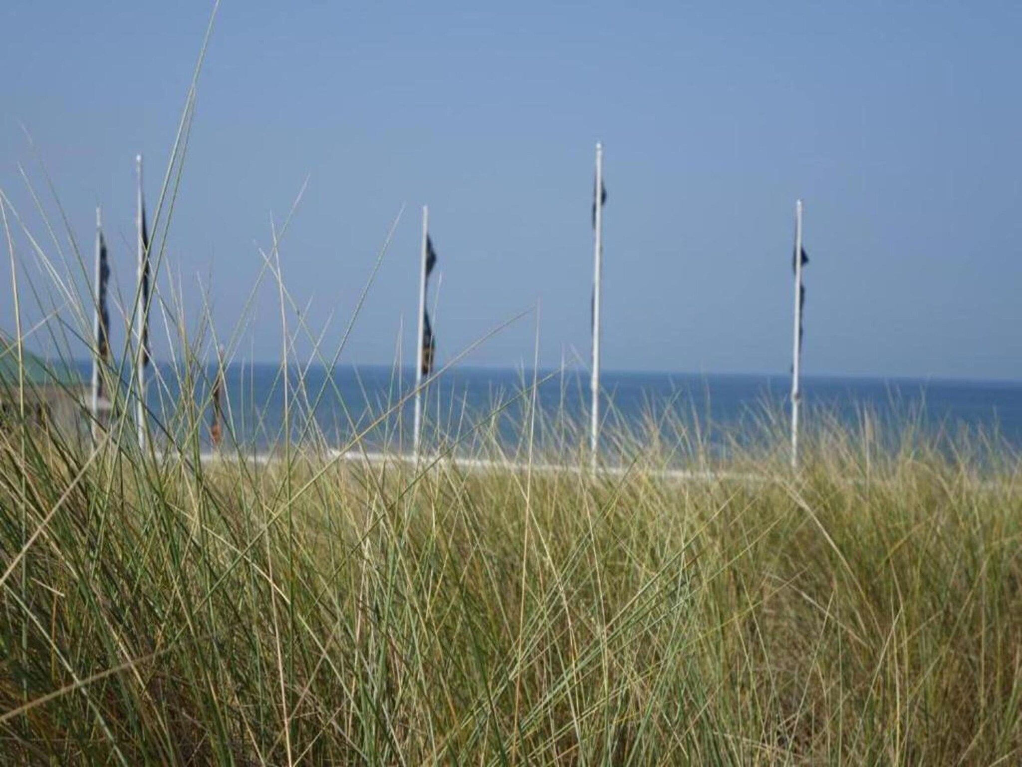 Vakantiepark Duinrust 3 in Noordwijk aan zee - Foto 28 van 40