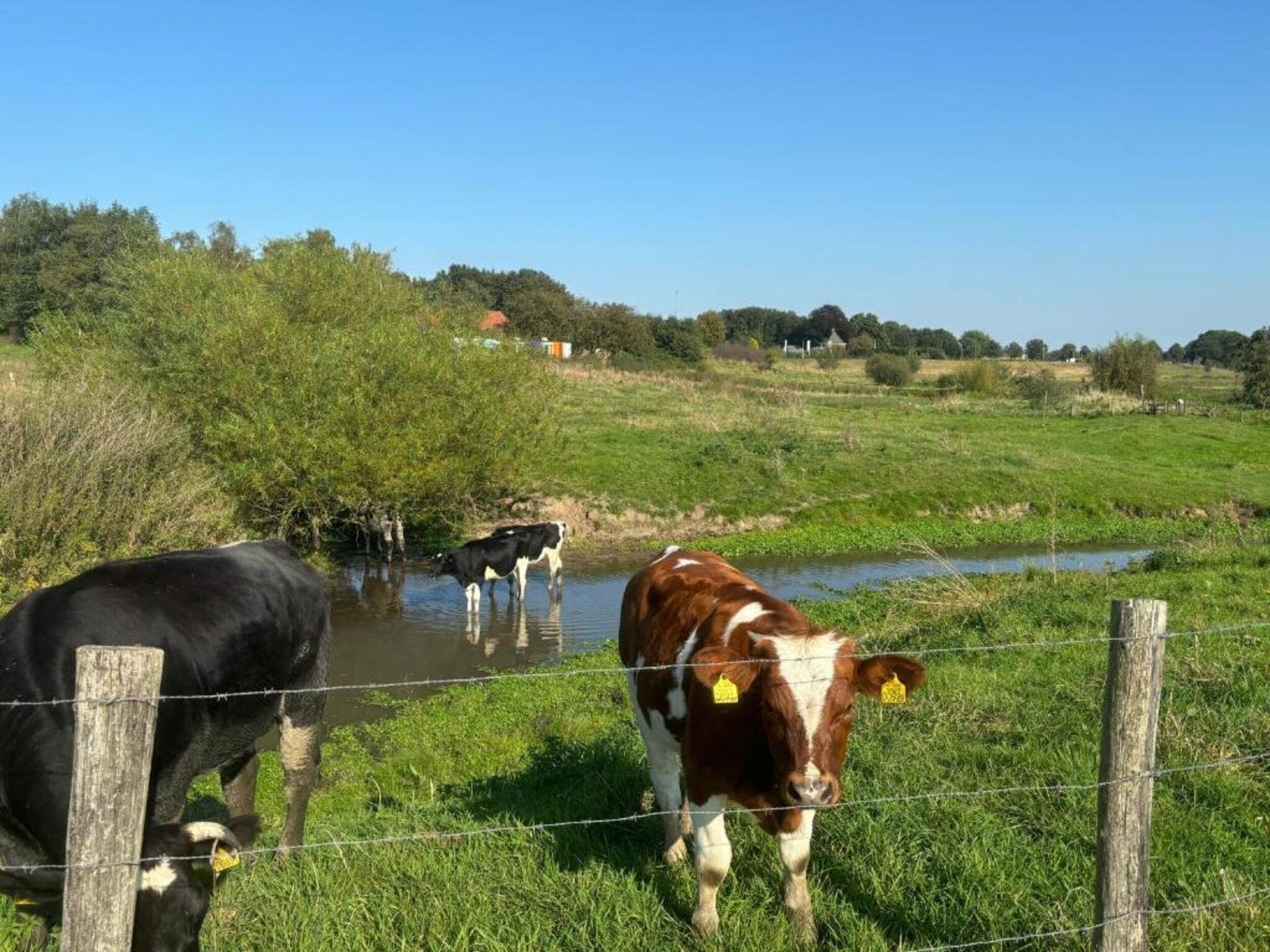 Vakantie bij Meeussen - Molendal 3 in Plasmolen - Foto 28 van 40