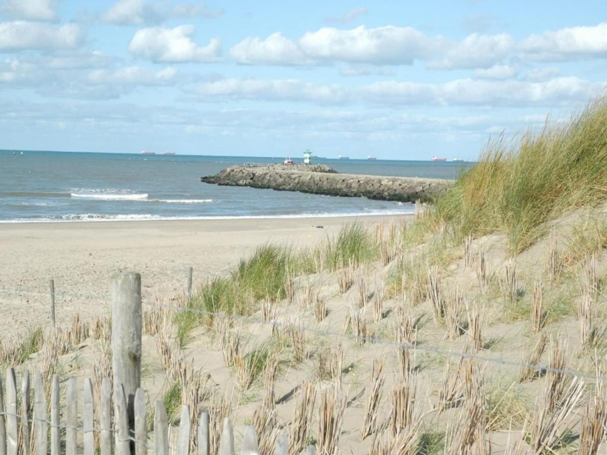 De omgeving van Scheveningen Harbour 12 in Scheveningen