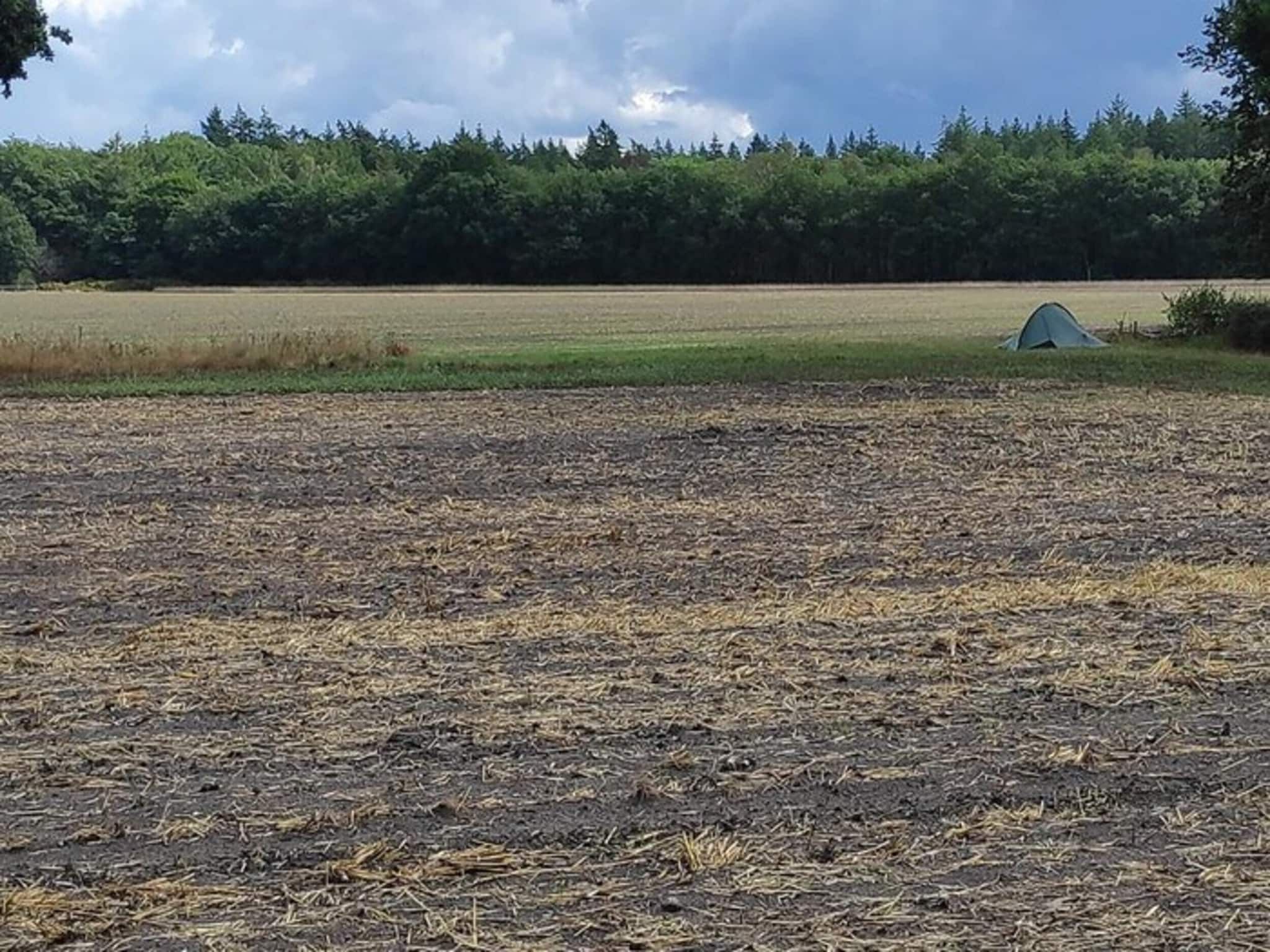 Dwergarend 17-17 in Voorthuizen - Foto 31 van 40