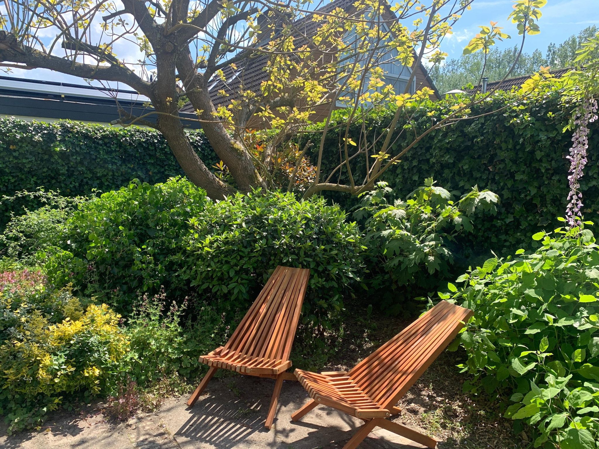 De tuin van Casa Duna in Noordwijkerhout