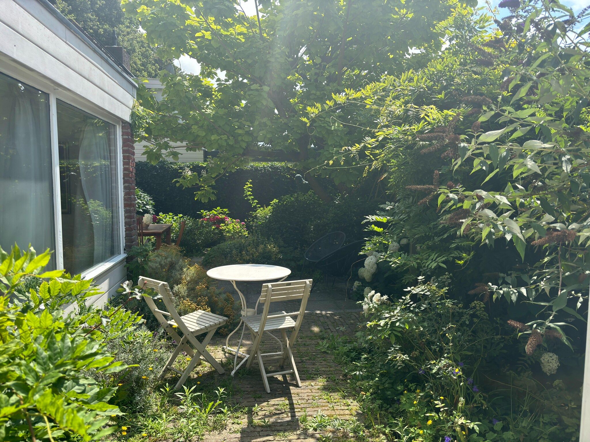 De tuin van Casa Duna in Noordwijkerhout