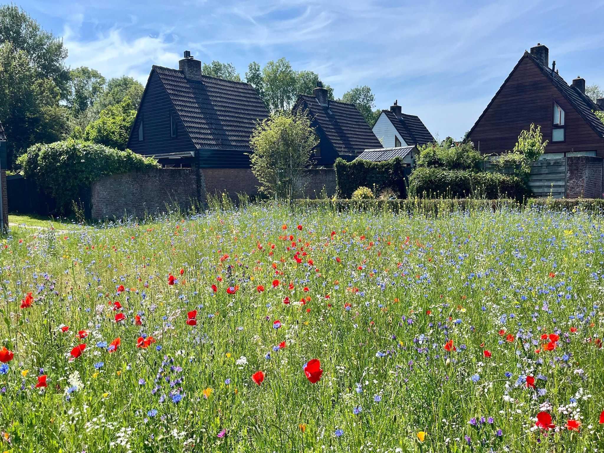 De tuin van Familiehuis in Noordwijkerhout in Noordwijkerhout