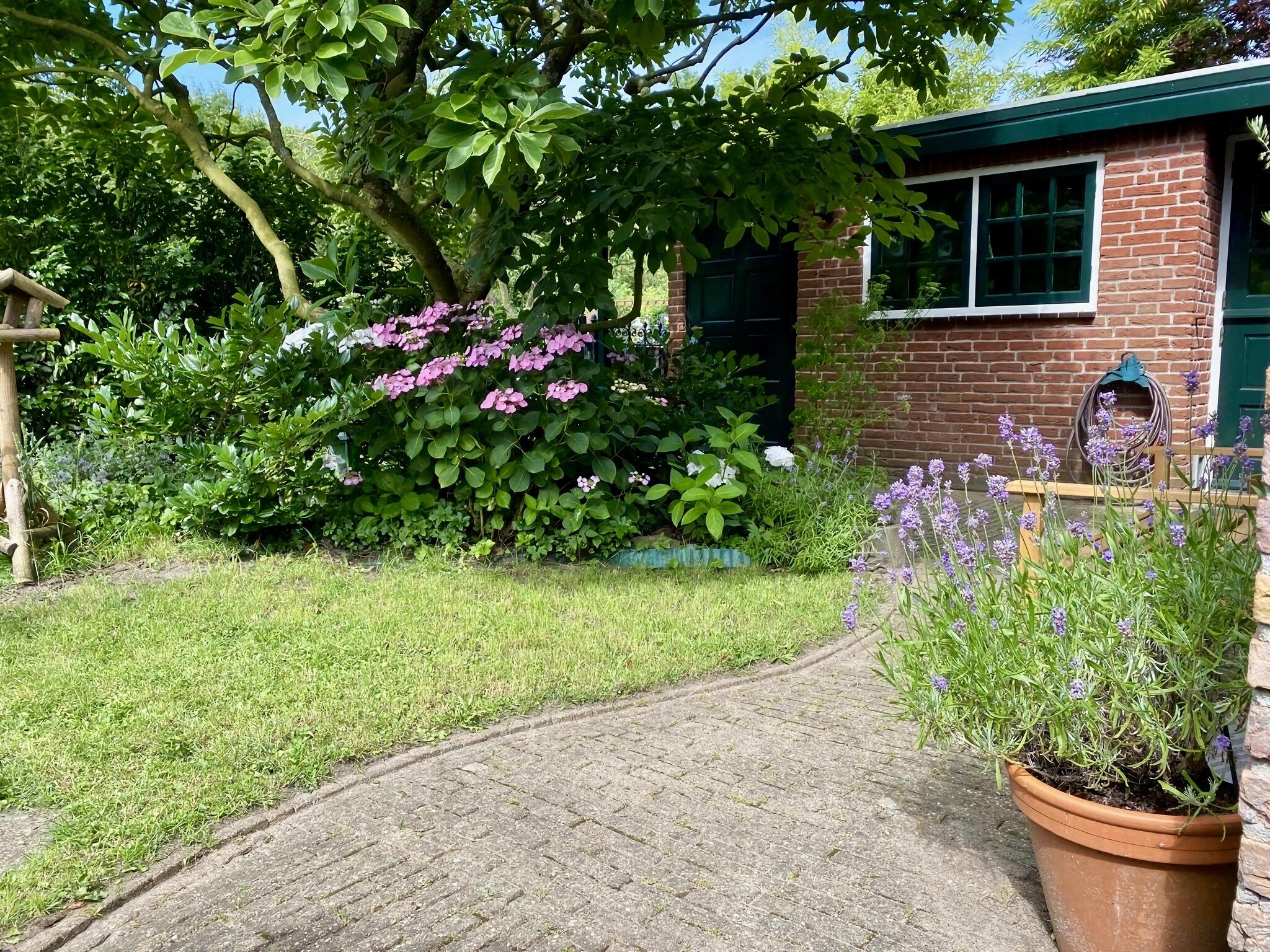 De tuin van Familiehuis in Noordwijkerhout in Noordwijkerhout