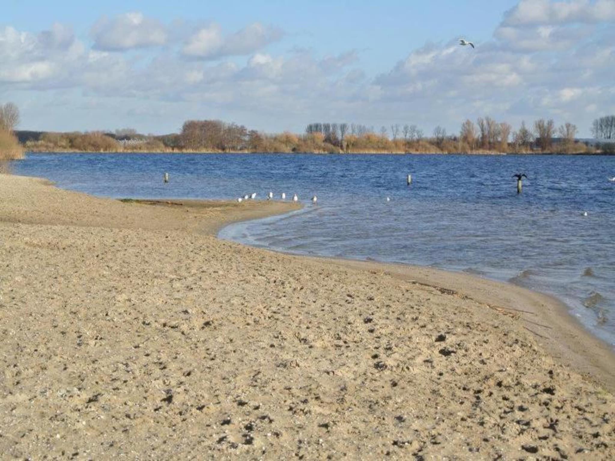 De omgeving van Familiehuis in Noordwijkerhout in Noordwijkerhout