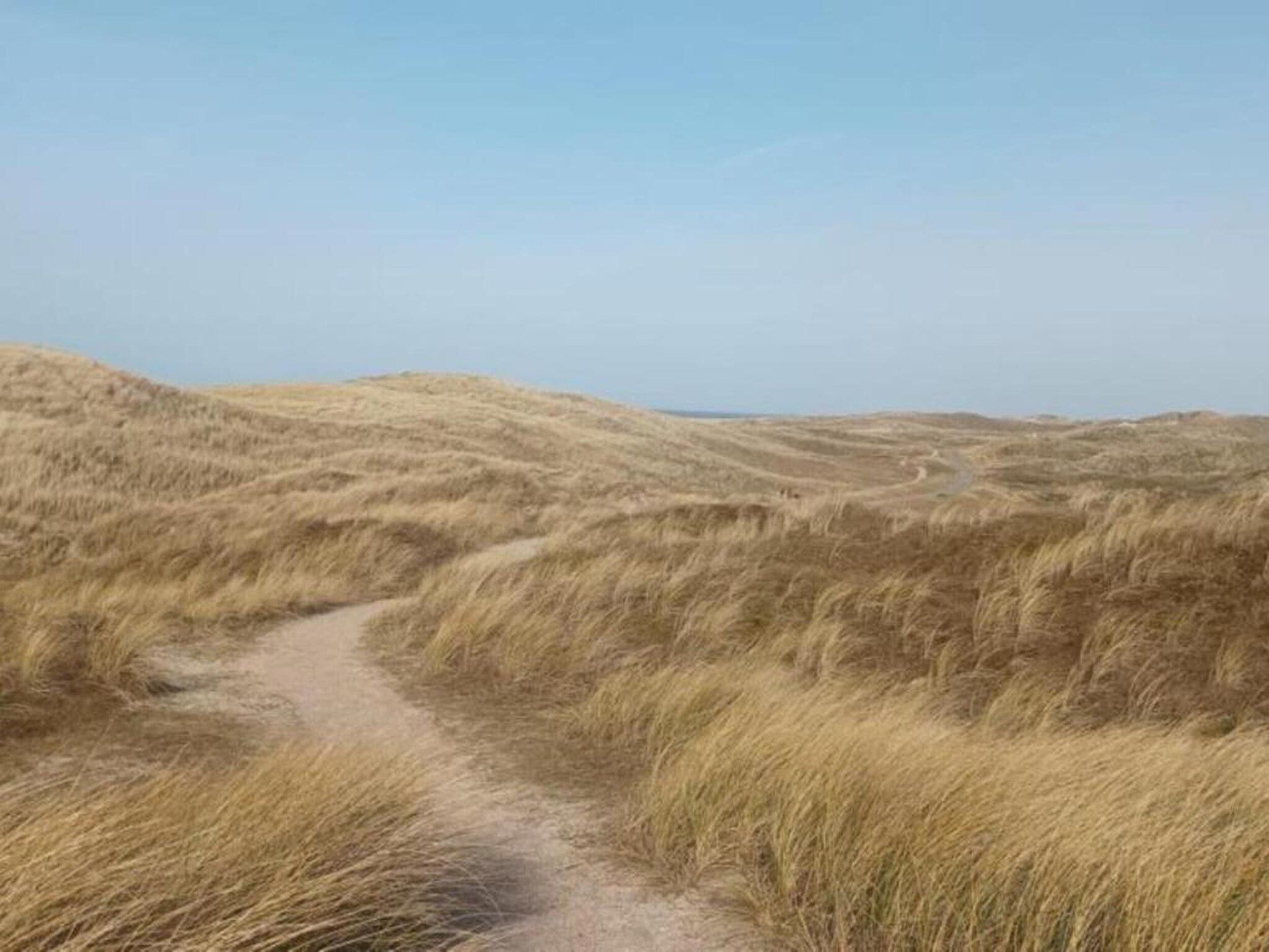 Vakantiepark Duynzicht 2 in Julianadorp aan zee - Foto 36 van 40