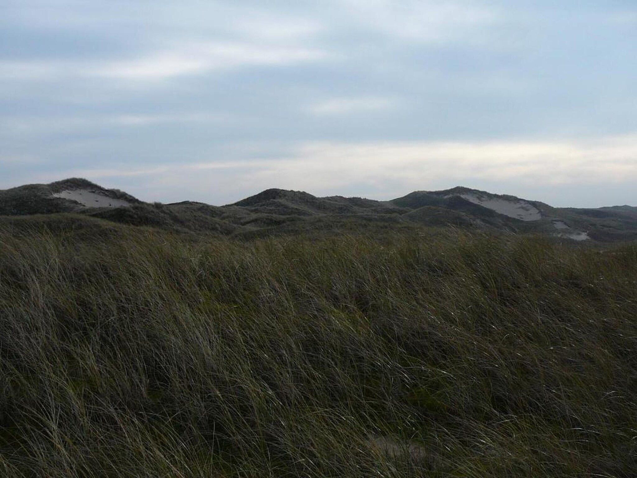 Vakantiepark Duynzicht 3 in Julianadorp aan zee - Foto 35 van 41