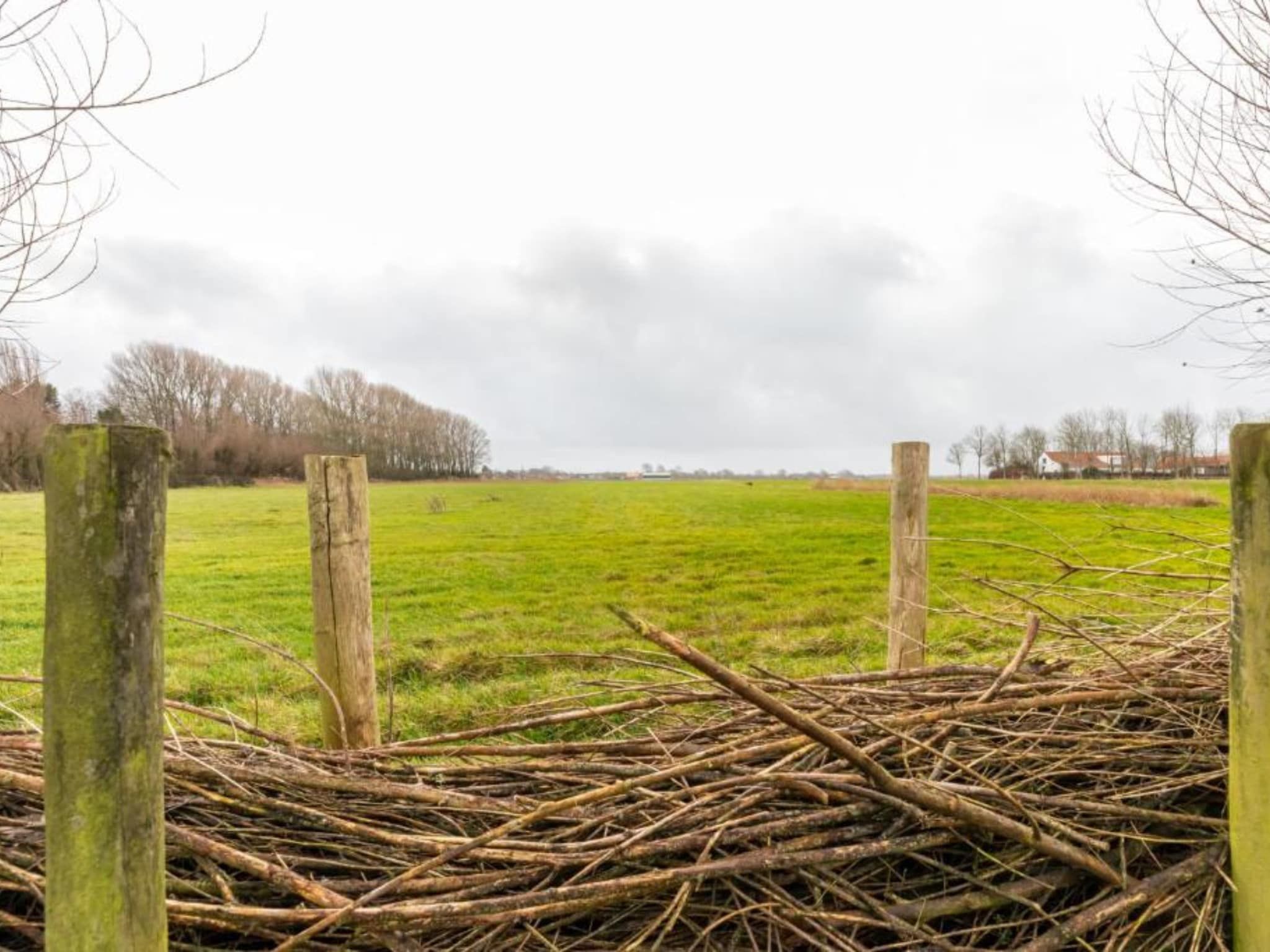 Het uitzicht vanaf Grijpskerke 'De kleine Pionier' in Grijpskerke
