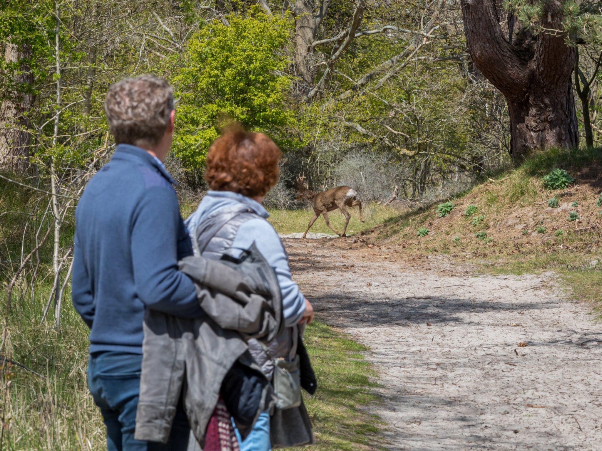 De omgeving van De Haaijmanweg 5  Burgh Haamstede 'Huisje 86' in Burgh-Haamstede