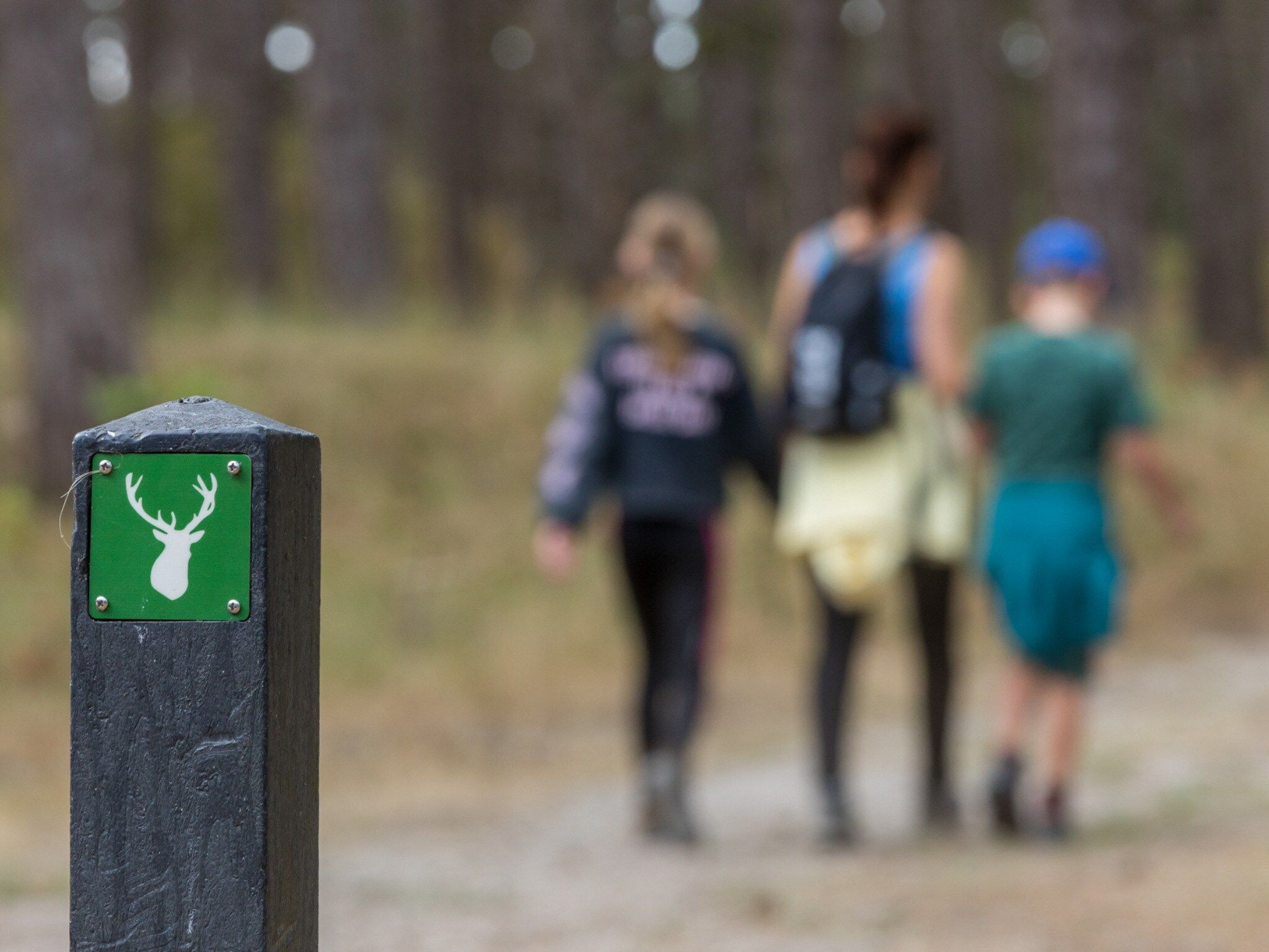 Sfeerbeeld van De Haaijmanweg 5  Burgh Haamstede 'Huisje 86' in Burgh-Haamstede
