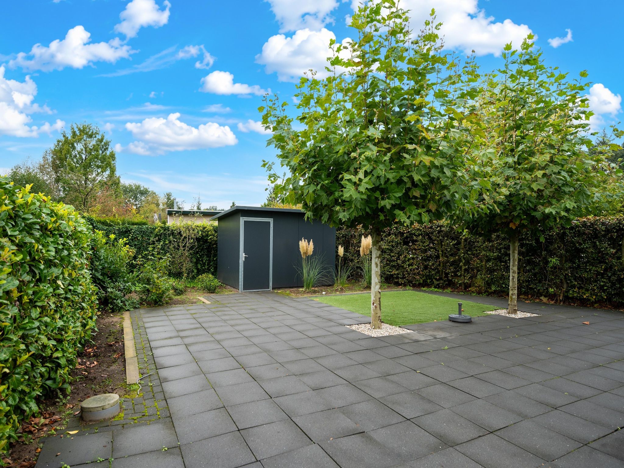 De tuin van Chalet 56 stegeren in Stegeren