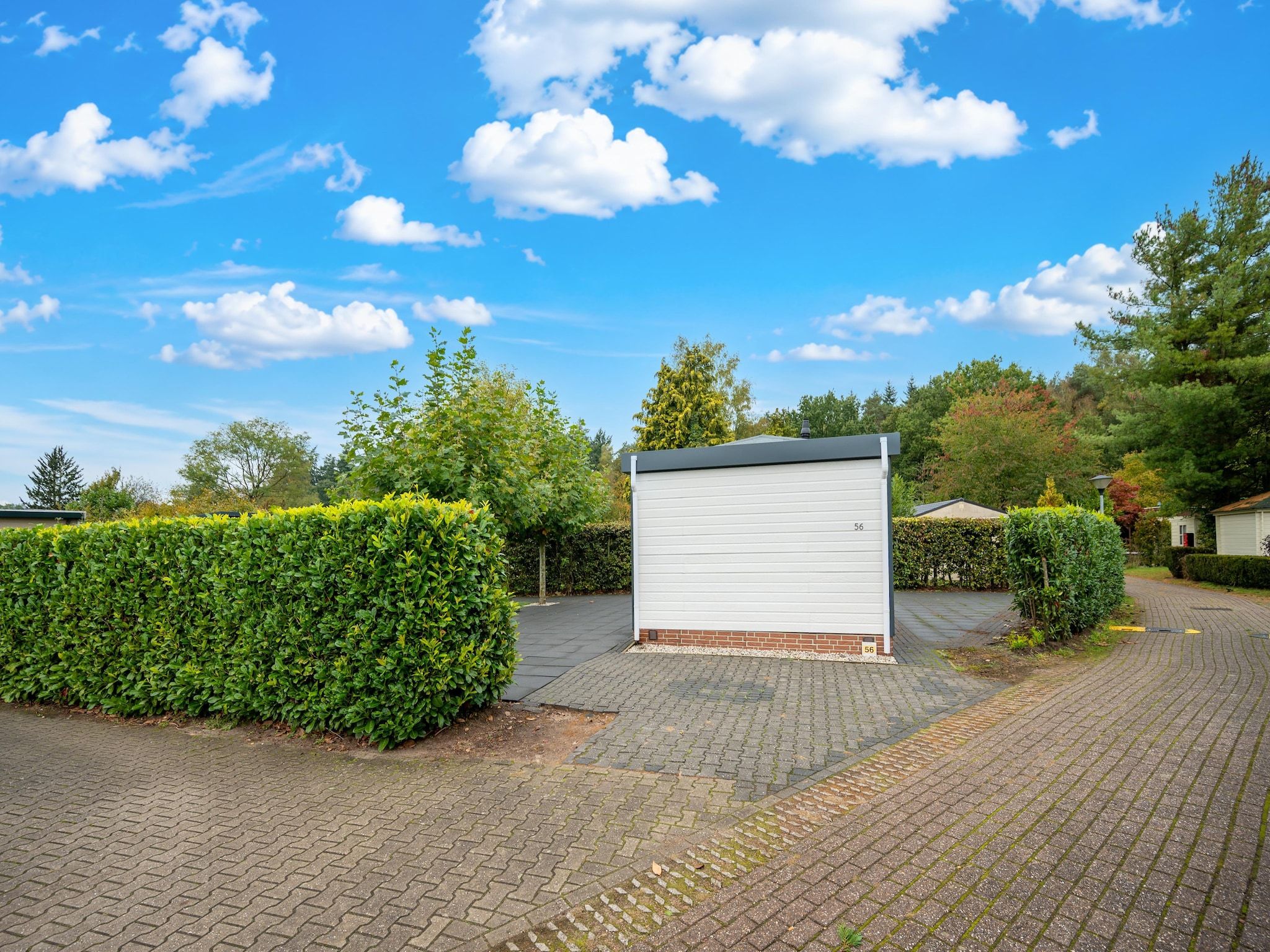 De tuin van Chalet 56 stegeren in Stegeren