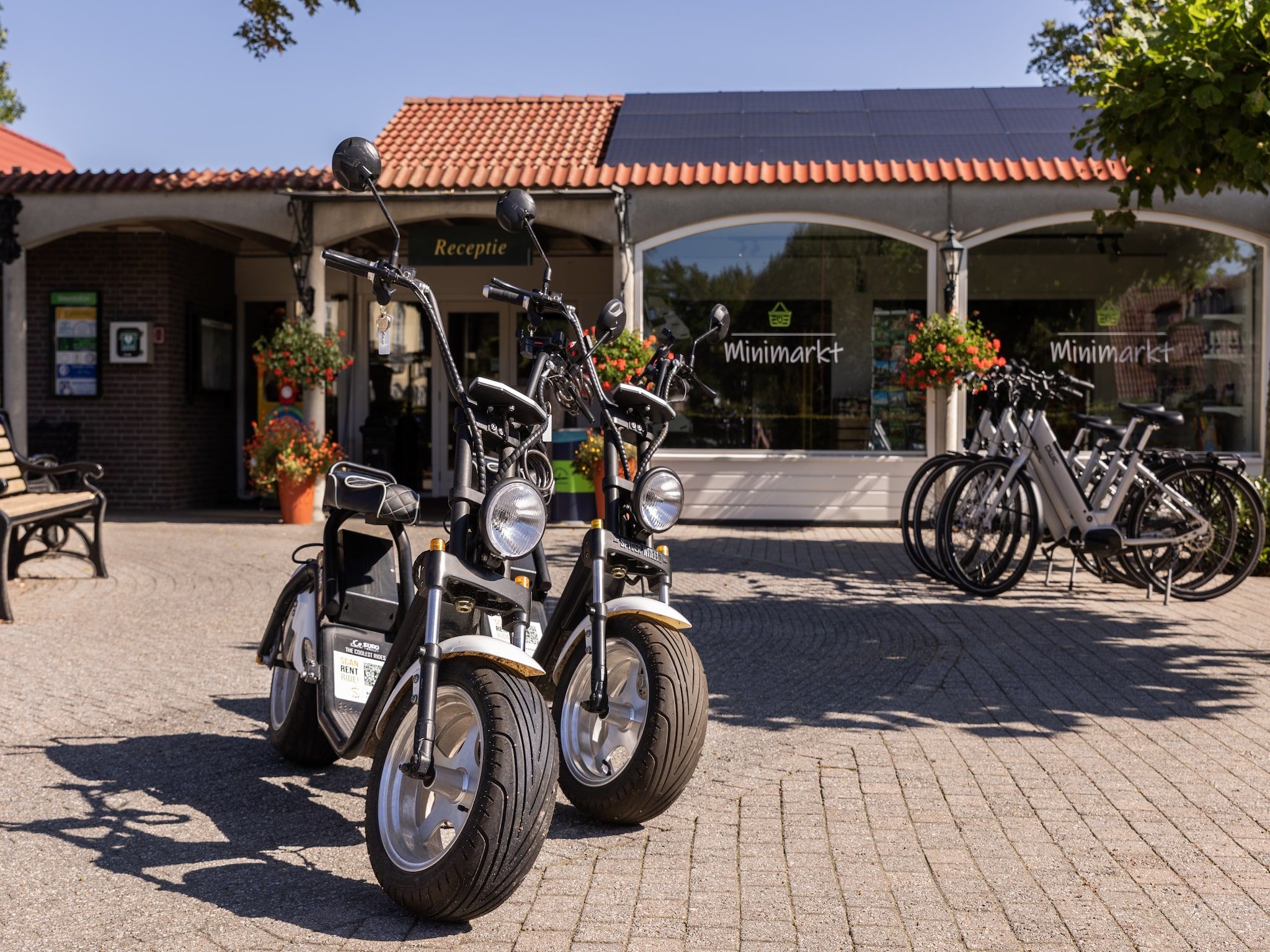 Parkfaciliteiten bij Parc Duc de Brabant 3 in Diessen-Baarschot