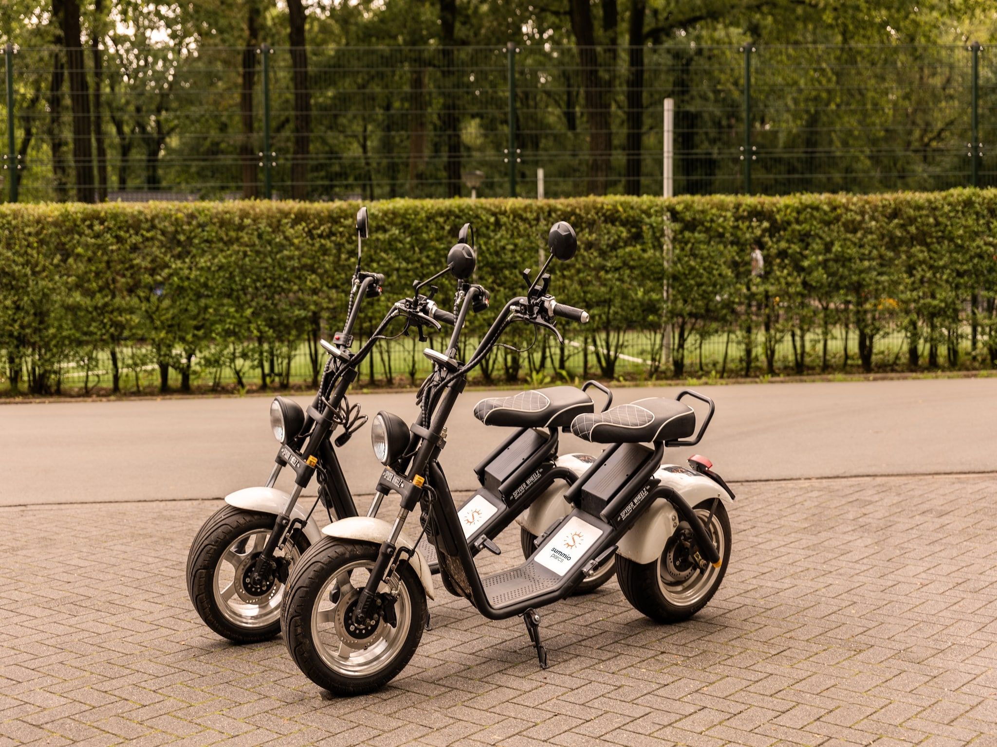 Parkfaciliteiten bij Parc Heihaas 2 in Putten