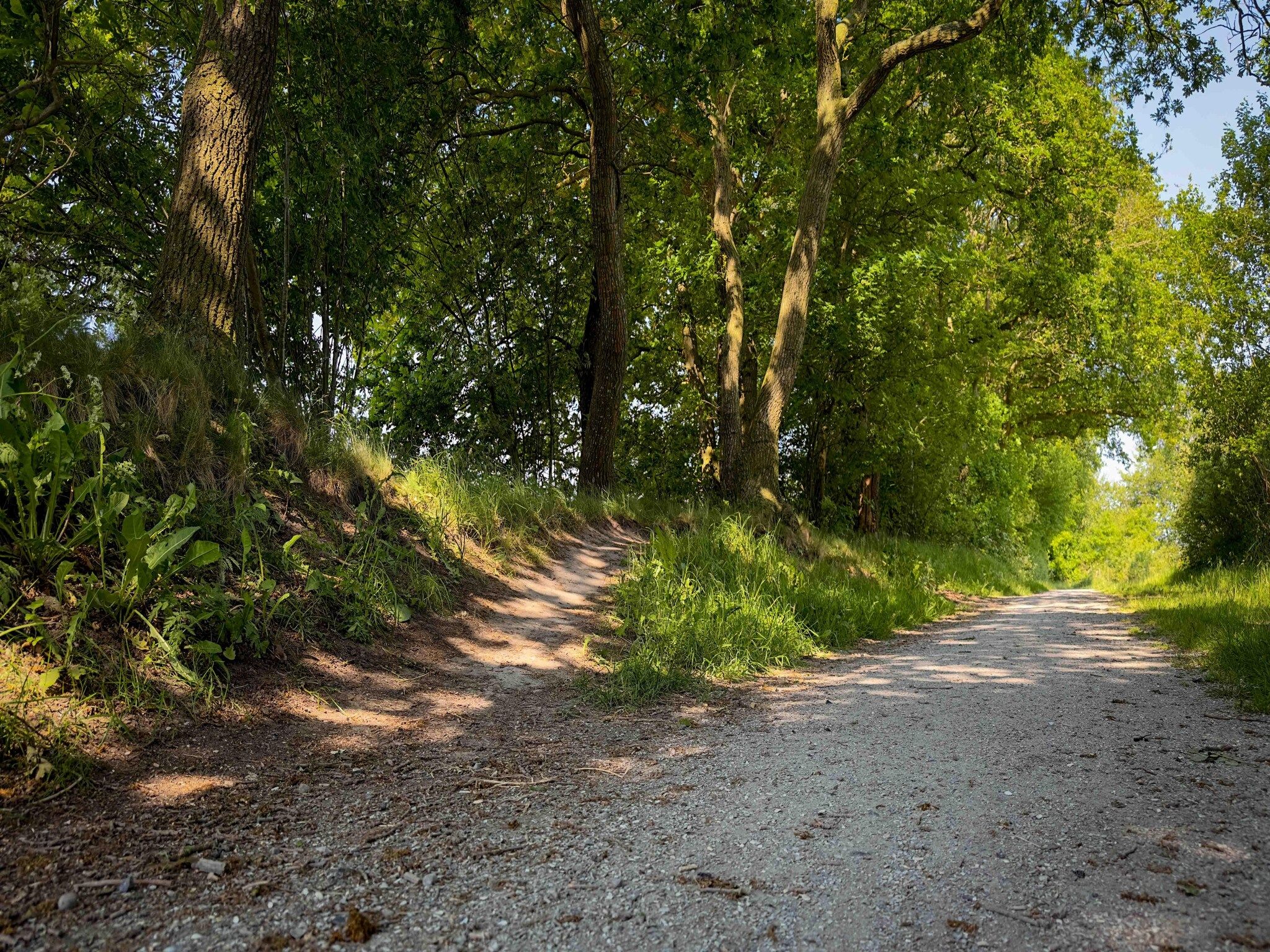 De omgeving van It Simmerhuske in Jistrum / Skûlenboarch