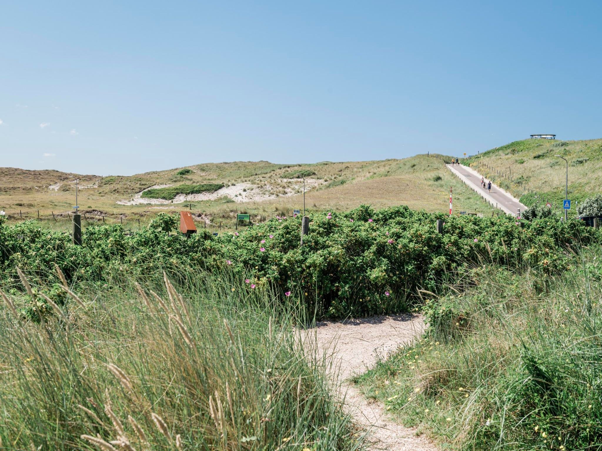 De omgeving van Duynsuites aan zee in Callantsoog