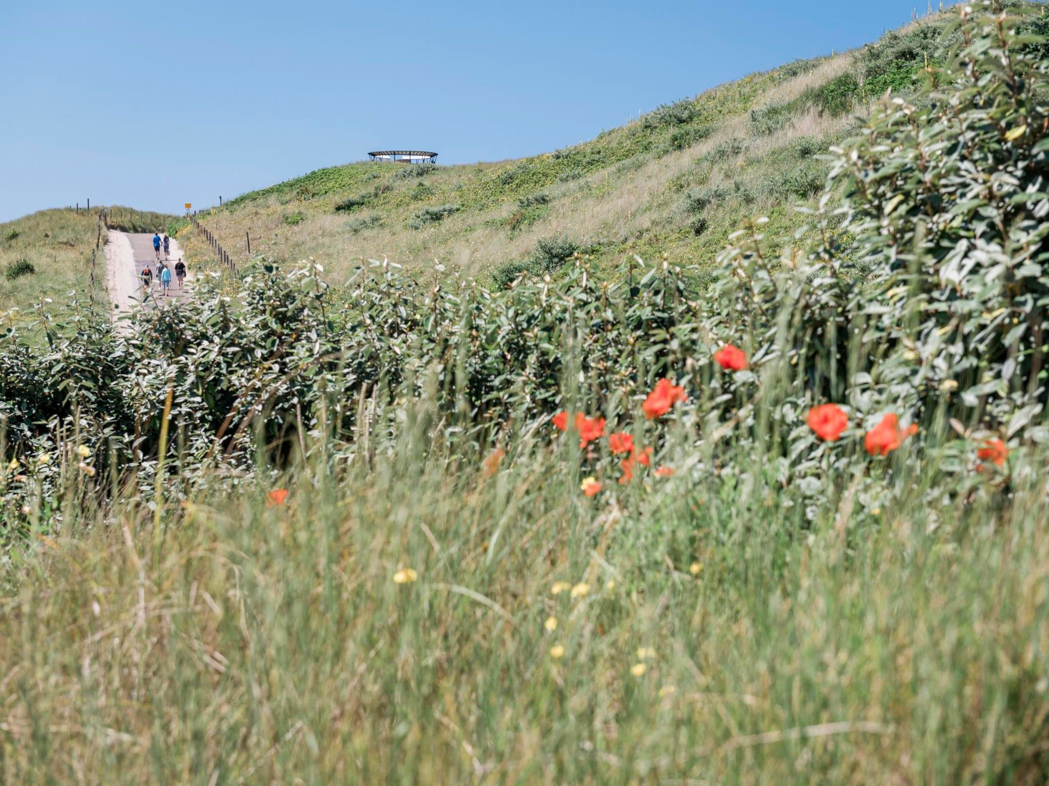 De omgeving van Duynsuites aan zee in Callantsoog