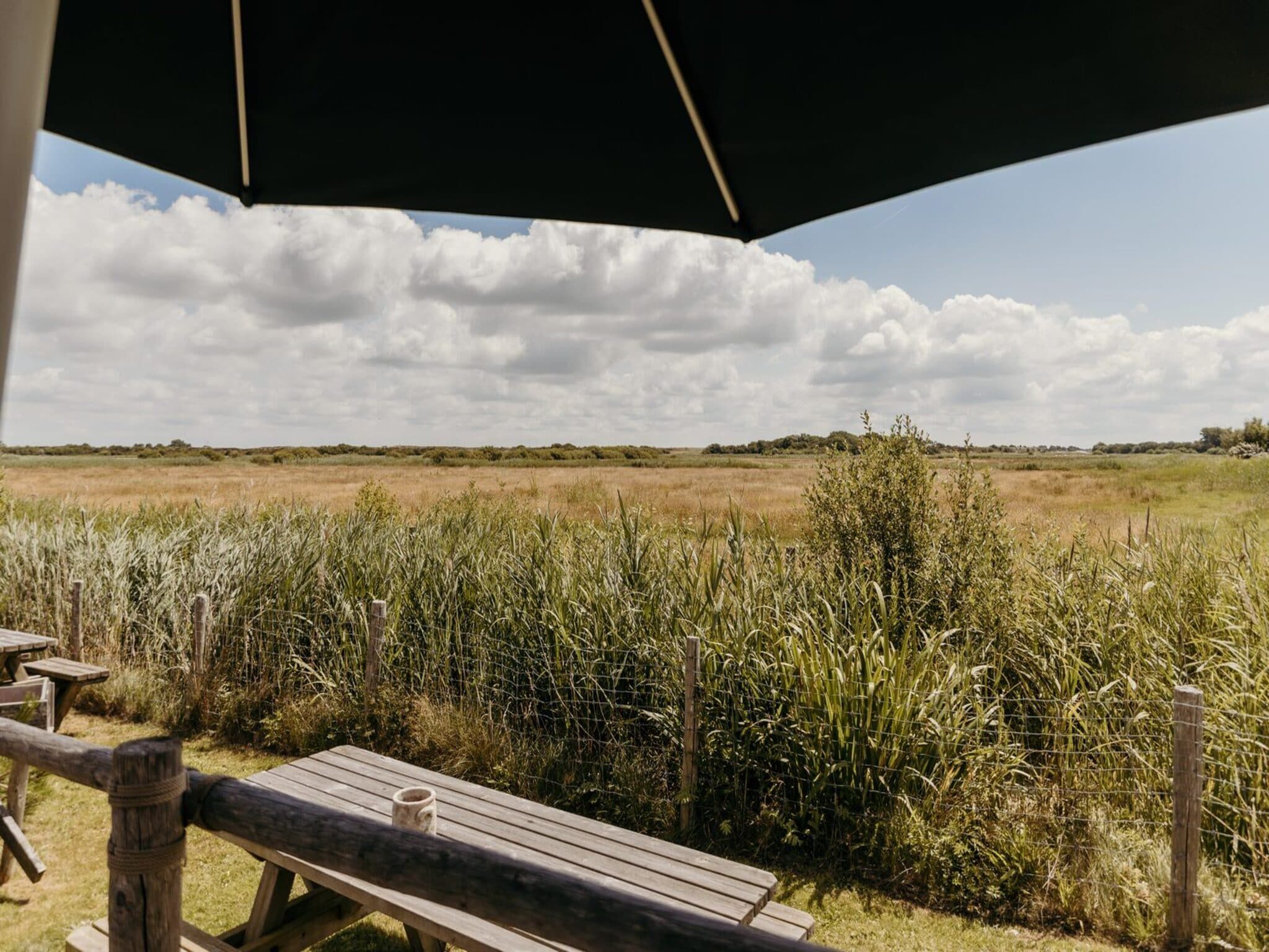 De tuin van Reddingshuisje - Duynpark in Callantsoog