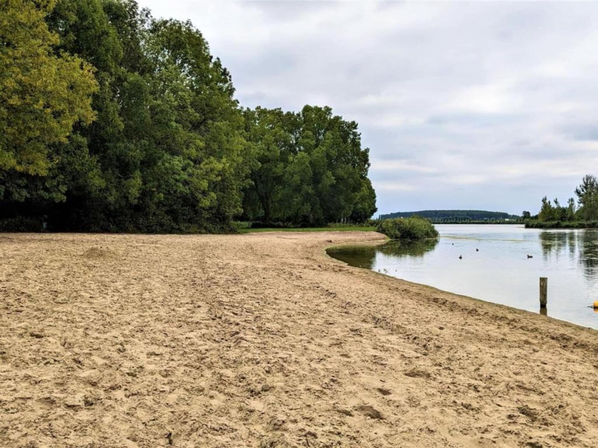 Kuifduiker 122 in Simonshaven - Foto 32 van 40