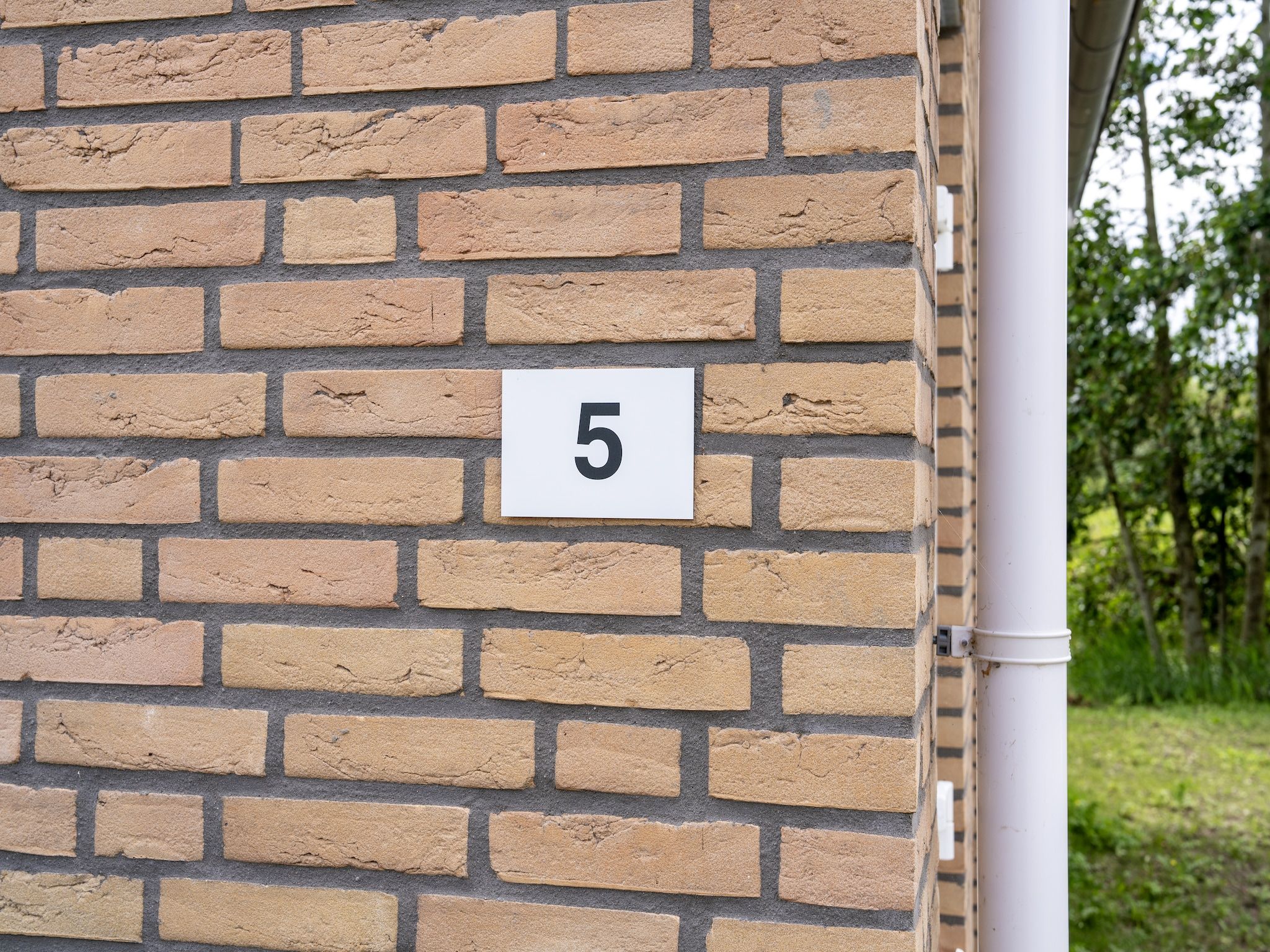 Sfeerbeeld van Kuifduiker 5 in Simonshaven