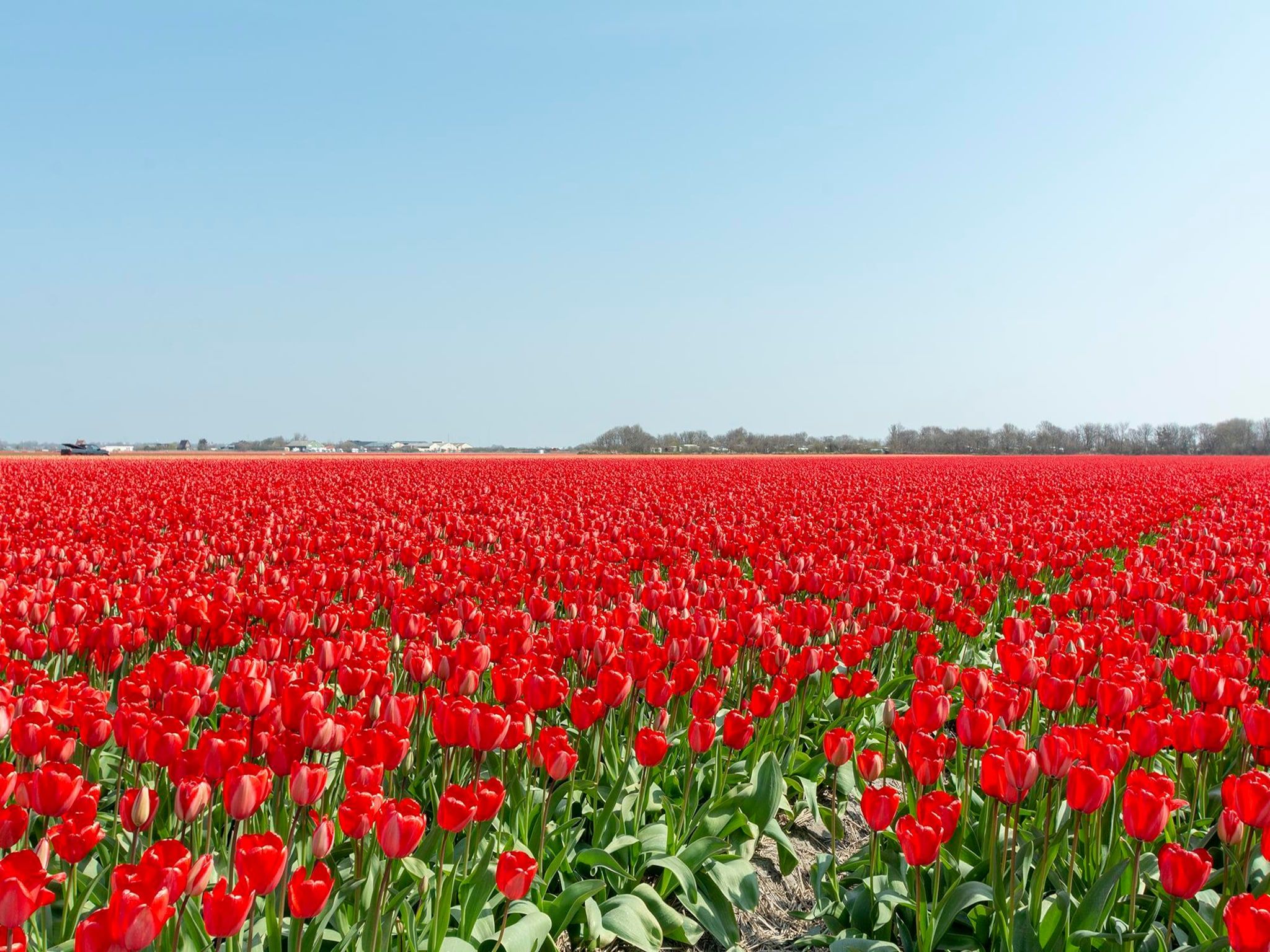De omgeving van Wijde Blick 307 in Callantsoog