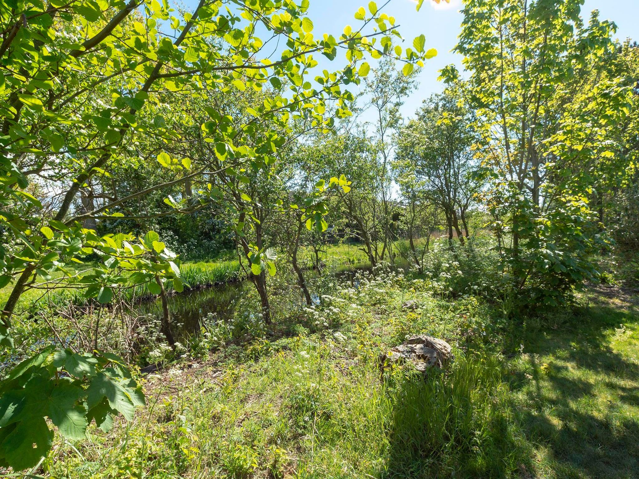 De tuin van Previnaireweg 34 in Callantsoog