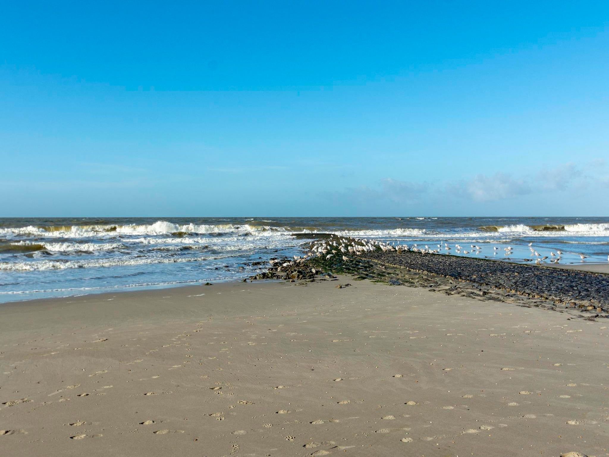 Wijde Blick 310 in Callantsoog - Foto 22 van 23