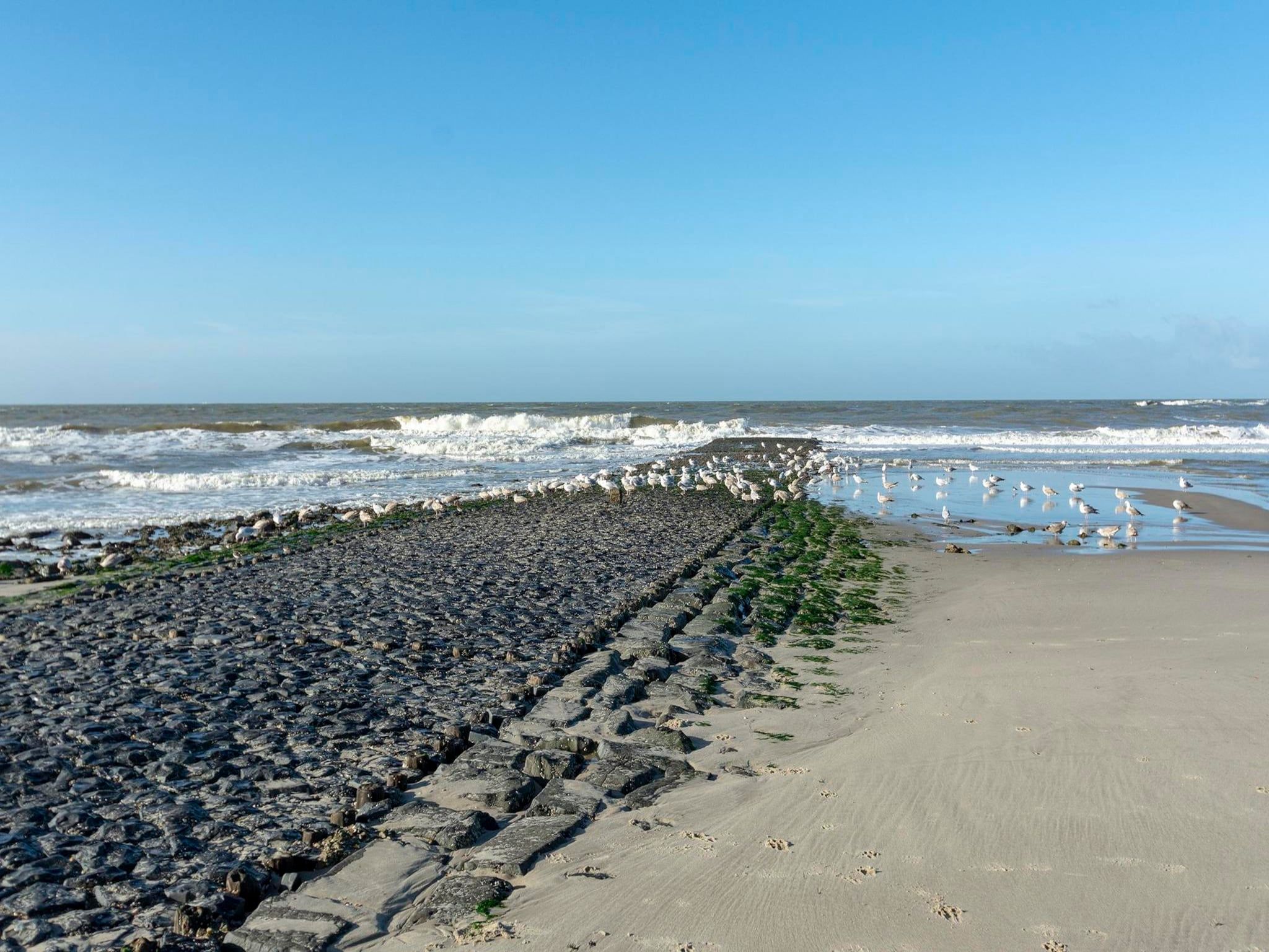 Wijde Blick 311 in Callantsoog - Foto 20 van 20