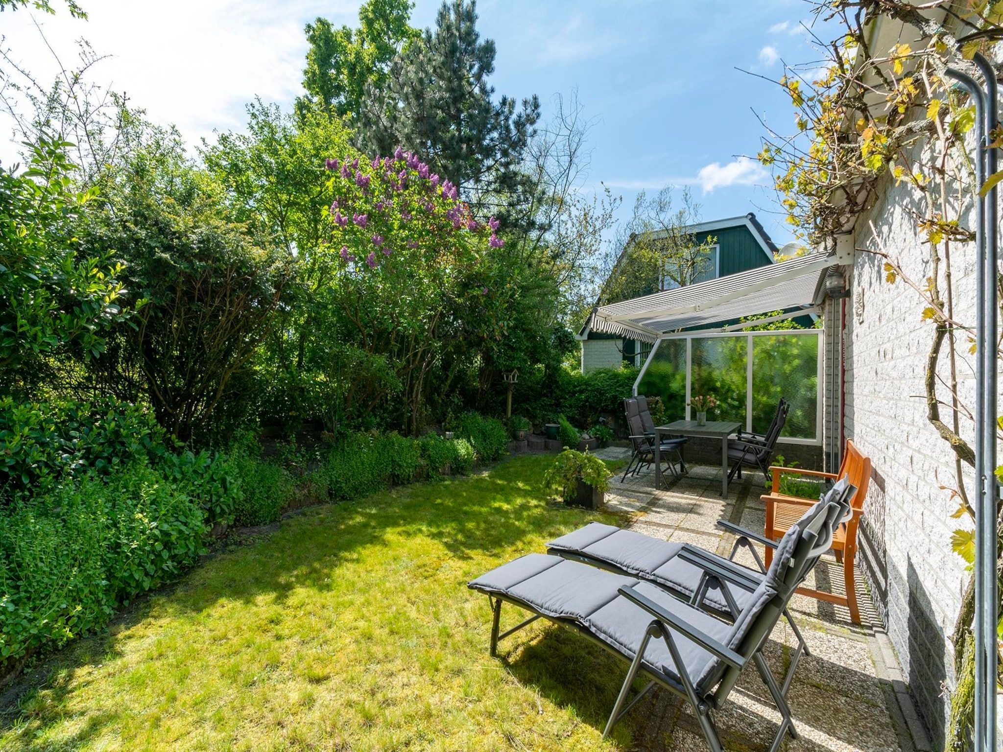 De tuin van Campanula 39 in Sint Maartenszee