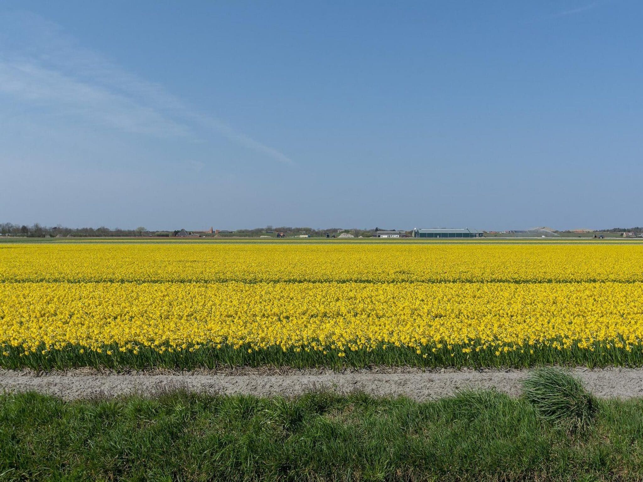 De omgeving van Ooghduyne 75 in Julianadorp aan Zee