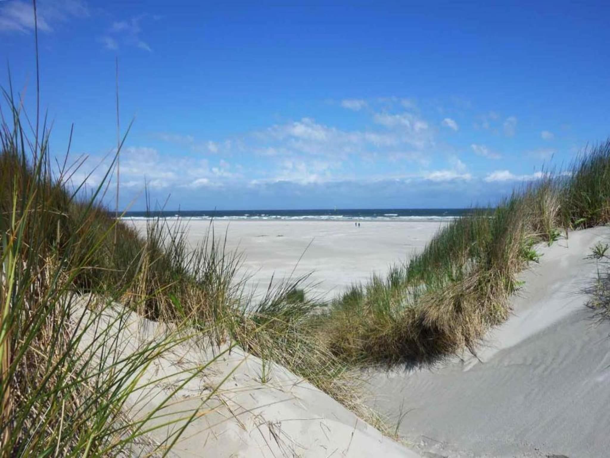 Strandhuys Mossel in De Koog - Foto 29 van 30
