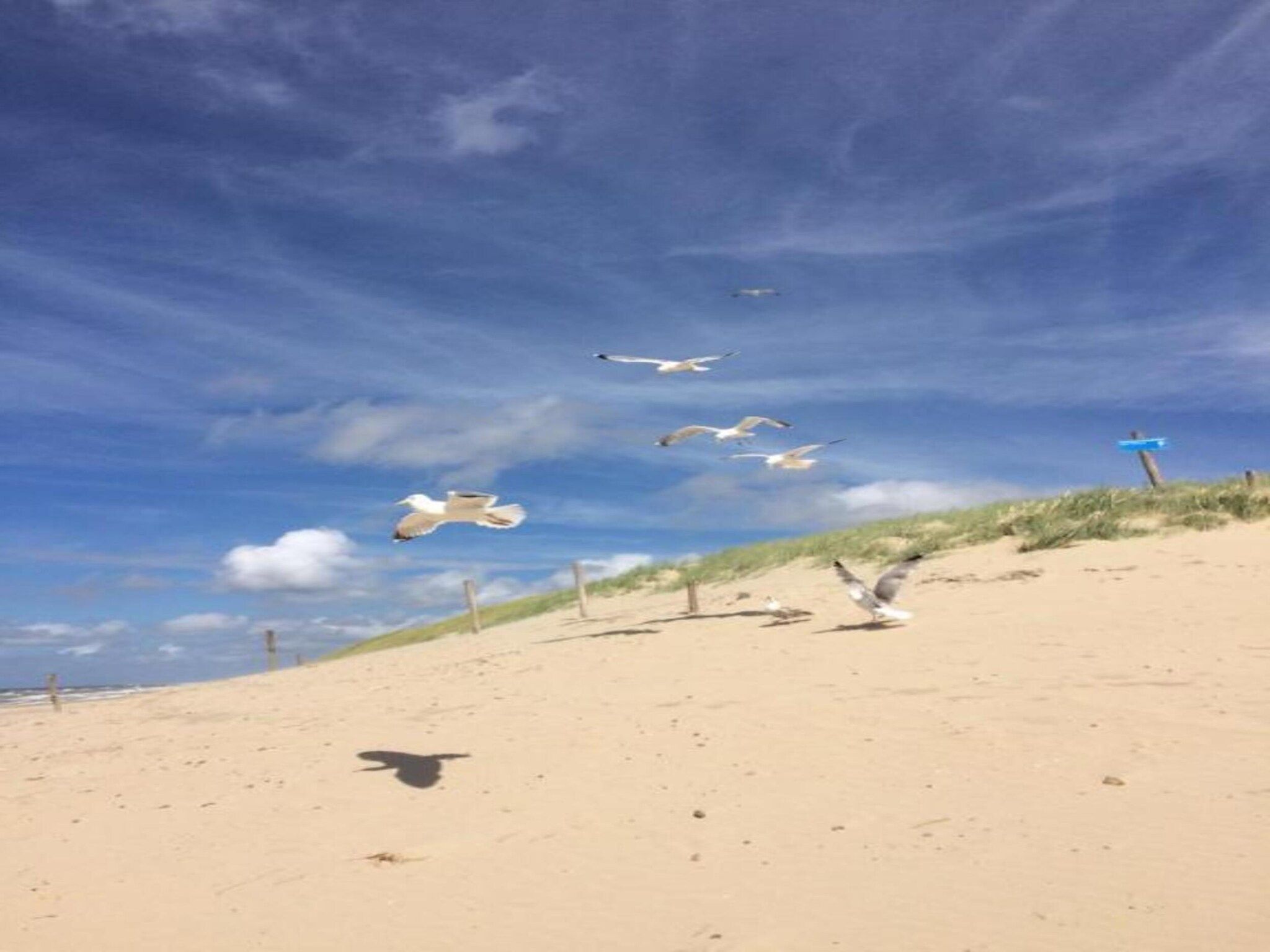 Strandhuys Mossel in De Koog - Foto 19 van 30