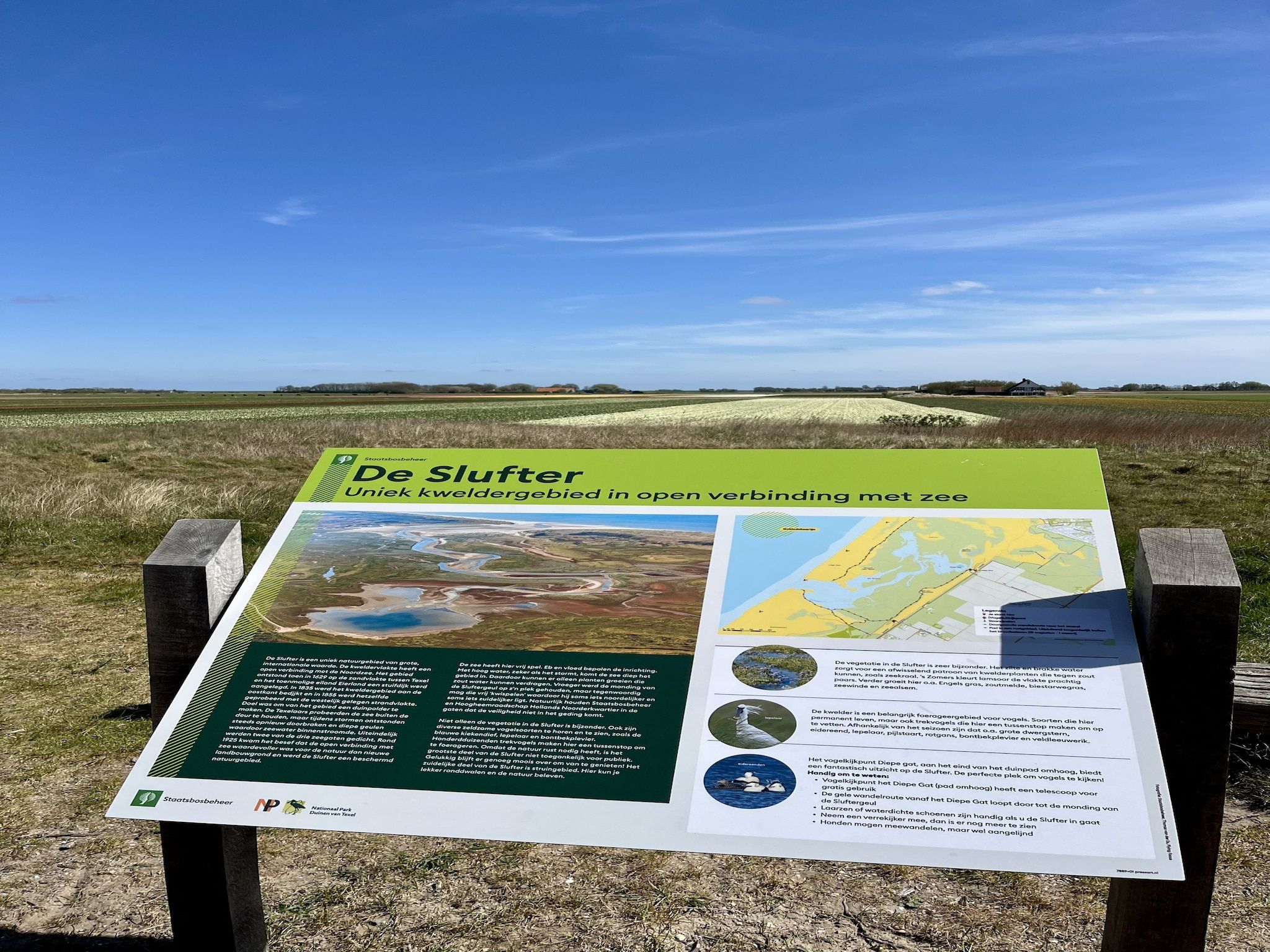 Sfeerbeeld van Beach Studio Texel in De Koog